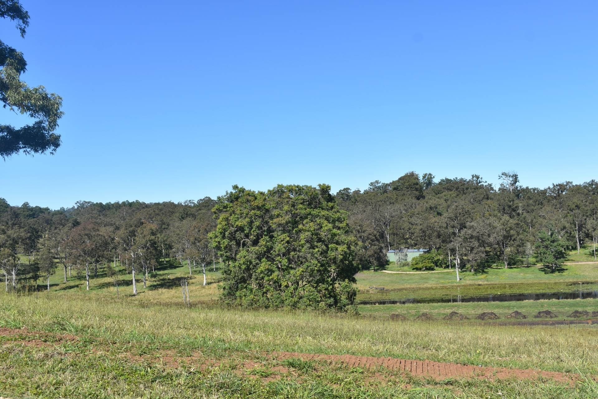 Lot 3 Wandii Court, Kyogle - Thumbnail 4
