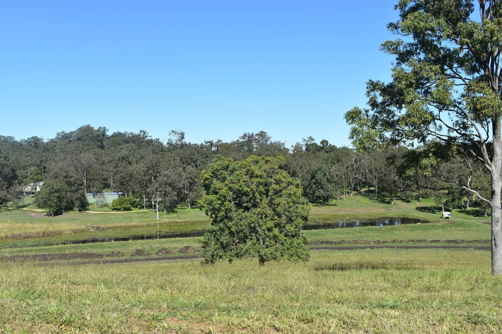 Lot 3 Wandii Court, Kyogle - Thumbnail 5