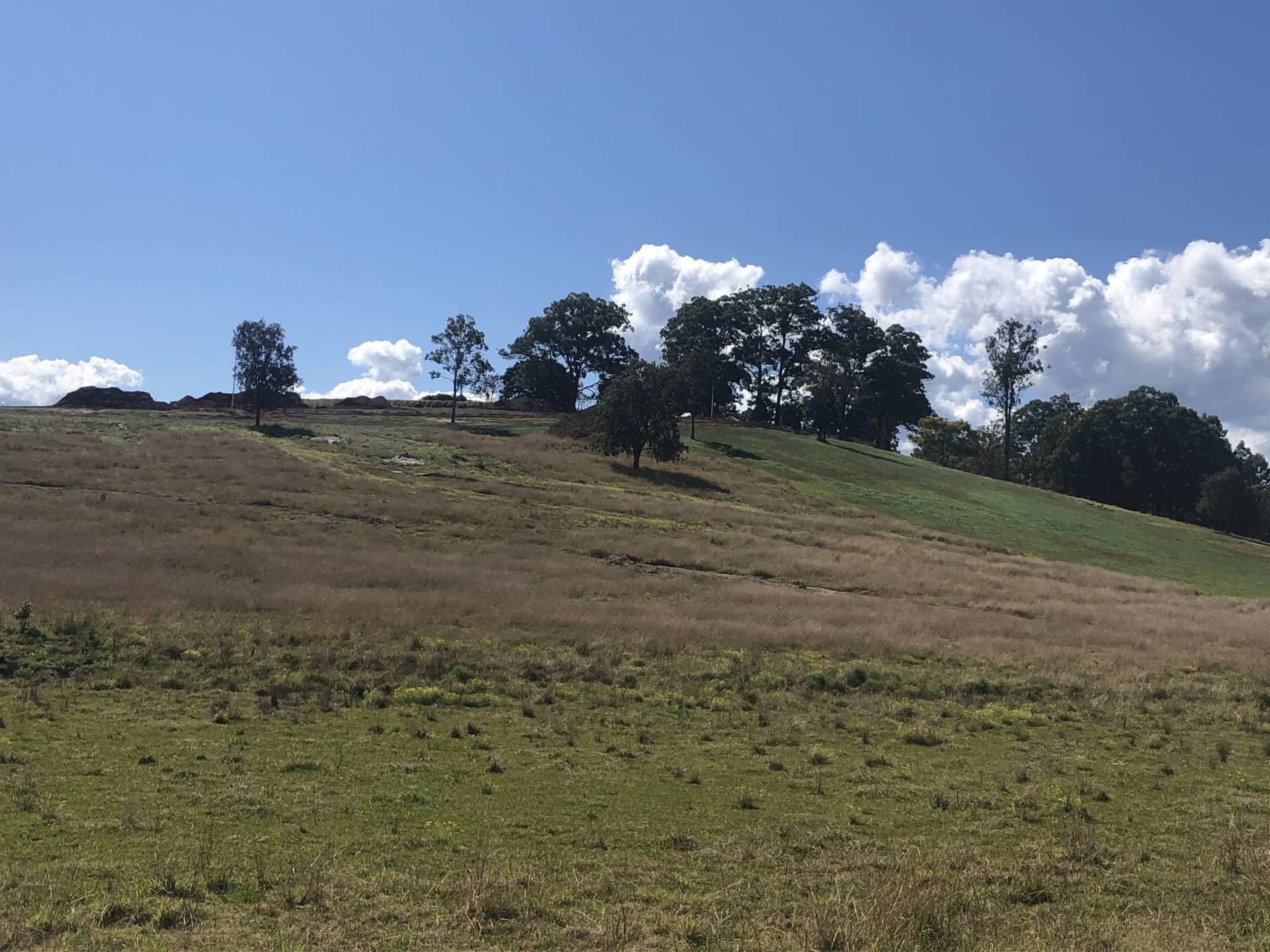 Lot 3 Wandii Court, Kyogle - Thumbnail 8