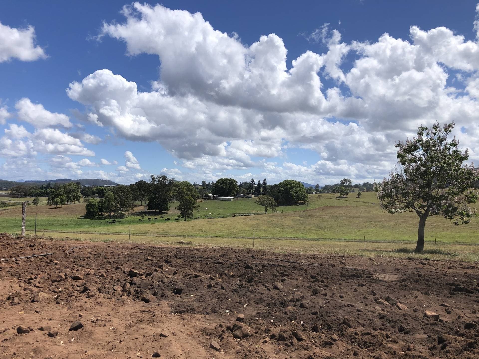 Lot 19 Kyogle Views Estate, Kyogle - Thumbnail 4