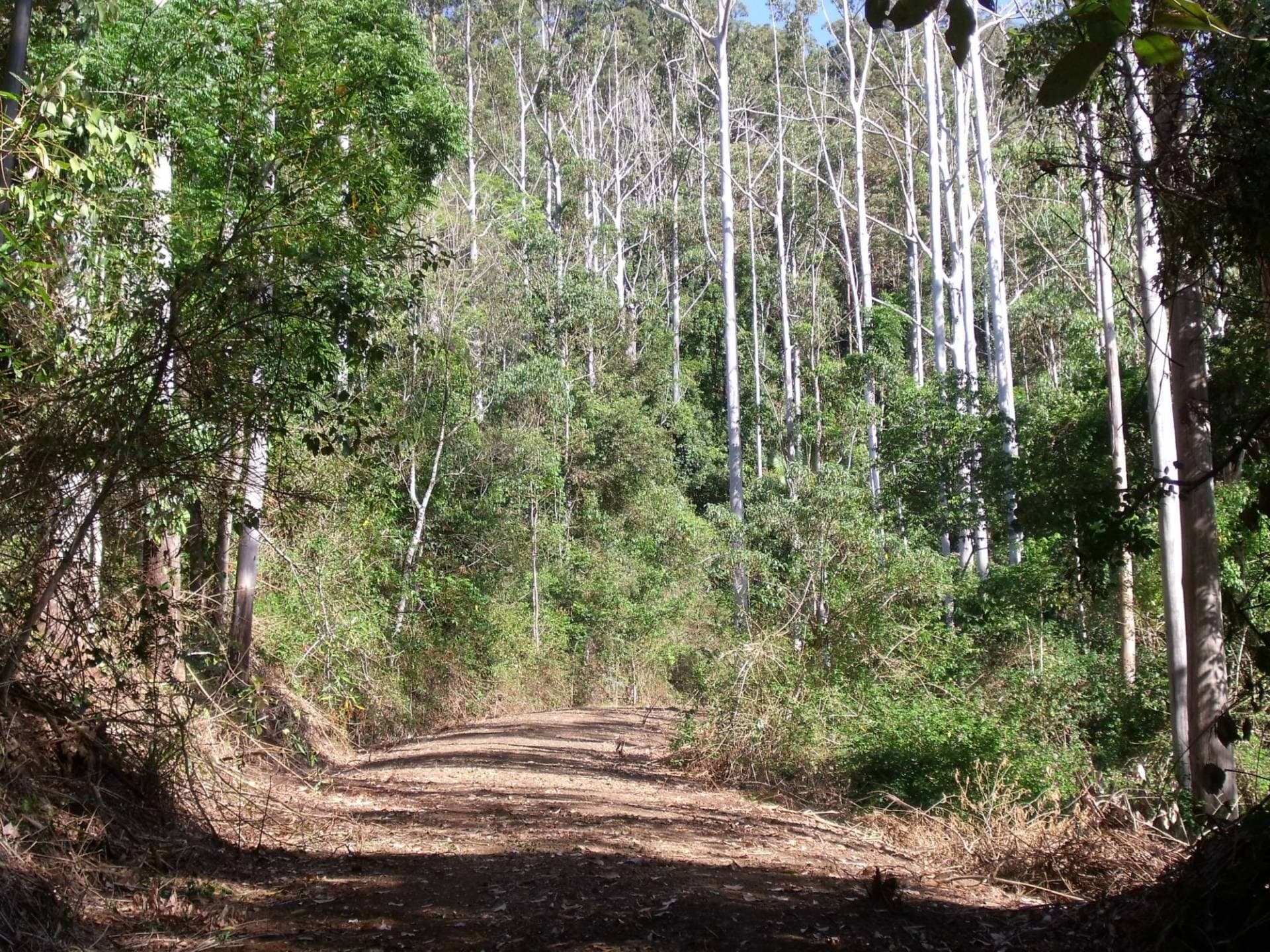 892 Turpentine Road, Kyogle - Image 1