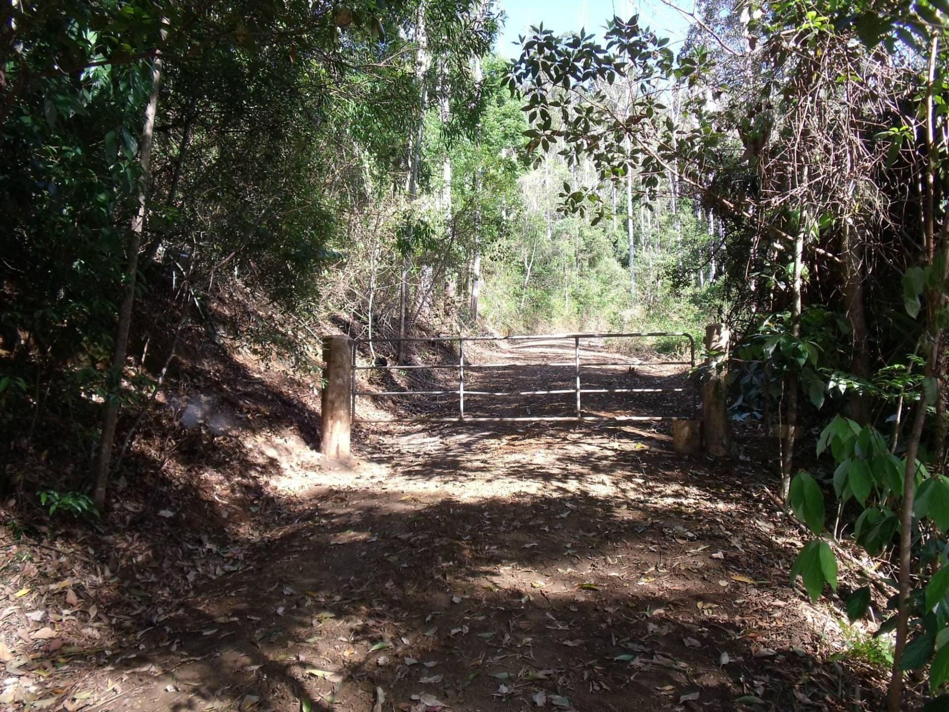892 Turpentine Road, Kyogle - Thumbnail 2