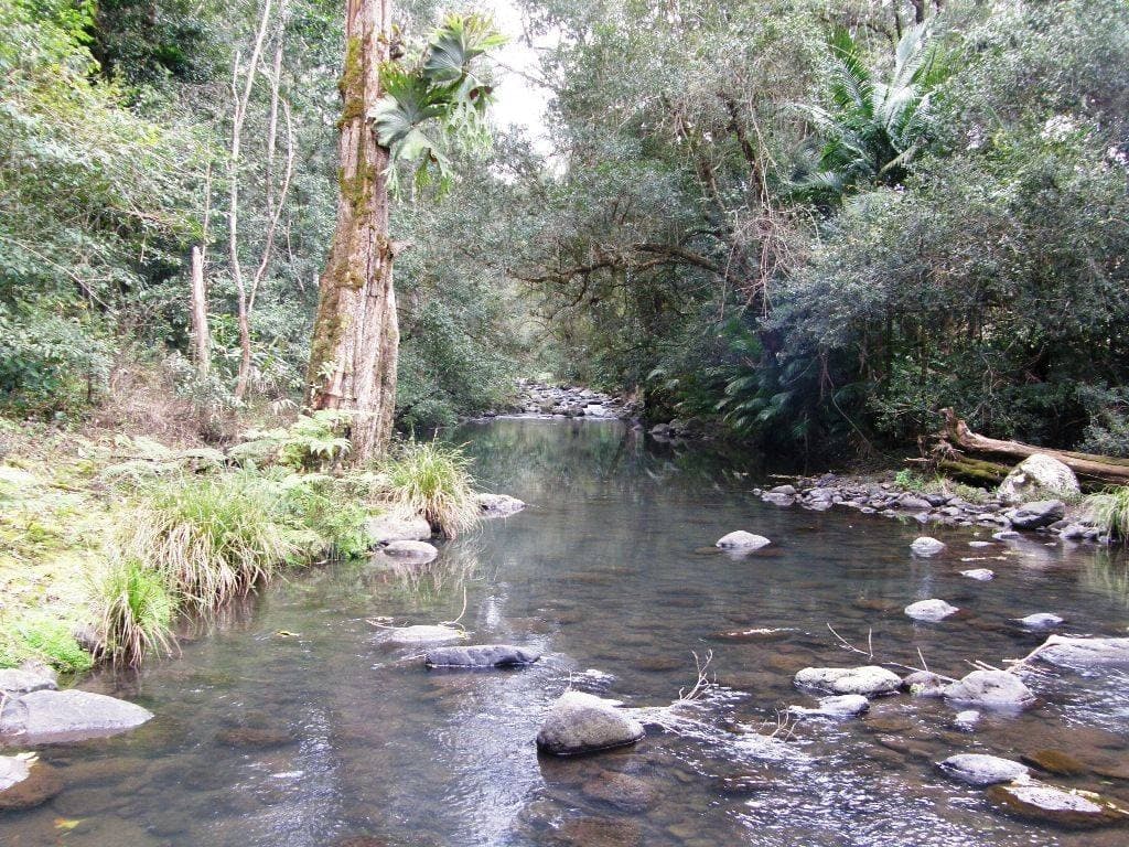 892 Turpentine Road, Kyogle - Thumbnail 3