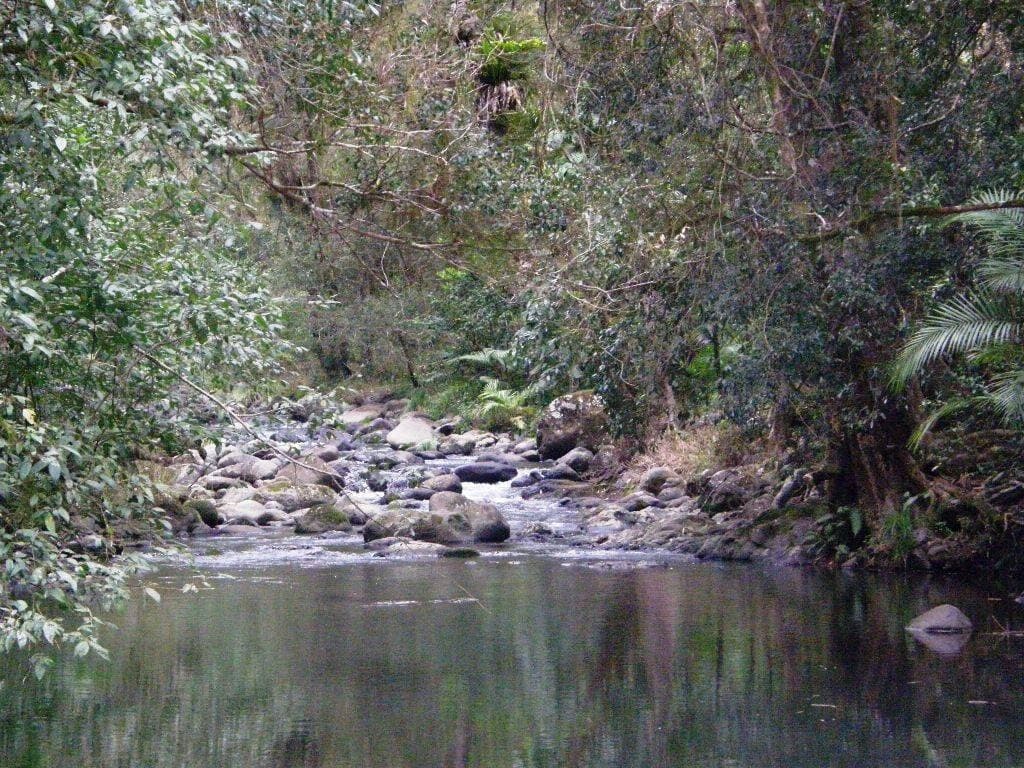 892 Turpentine Road, Kyogle - Thumbnail 4
