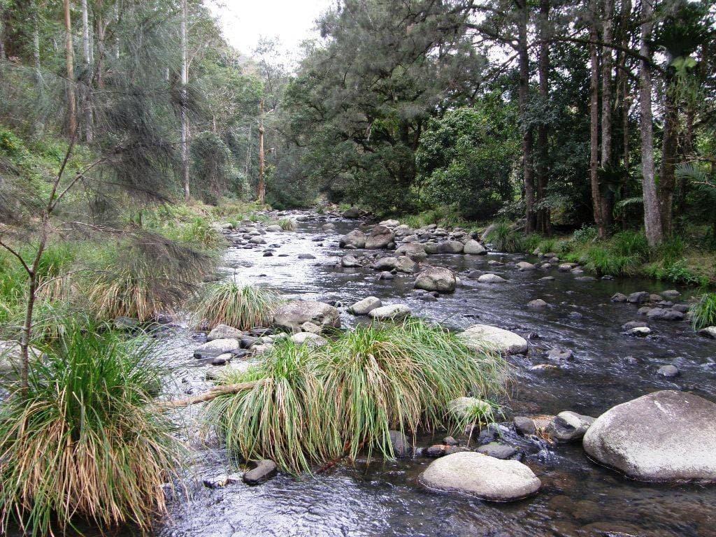 892 Turpentine Road, Kyogle - Thumbnail 5