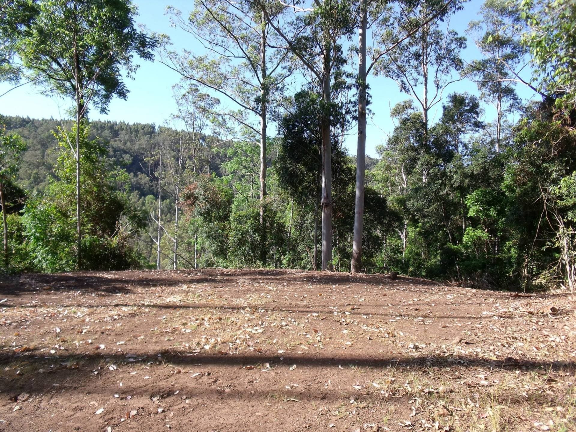 892 Turpentine Road, Kyogle - Thumbnail 7