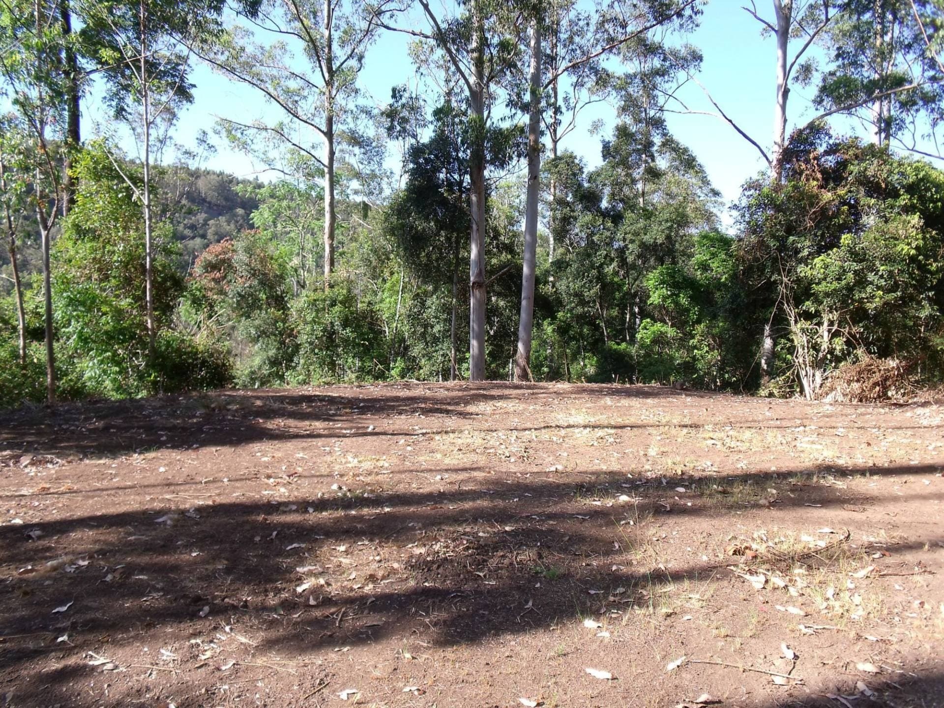 892 Turpentine Road, Kyogle - Thumbnail 8