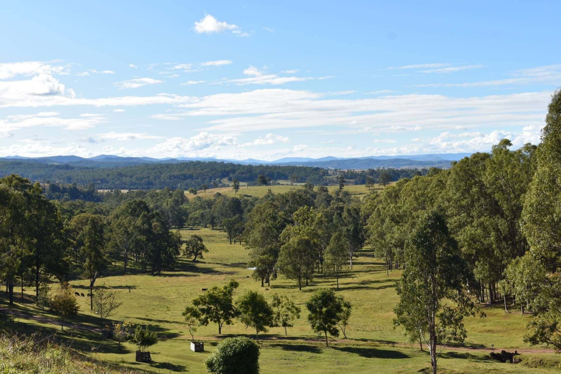 1217 Dyraaba Road, Kyogle - Image 1
