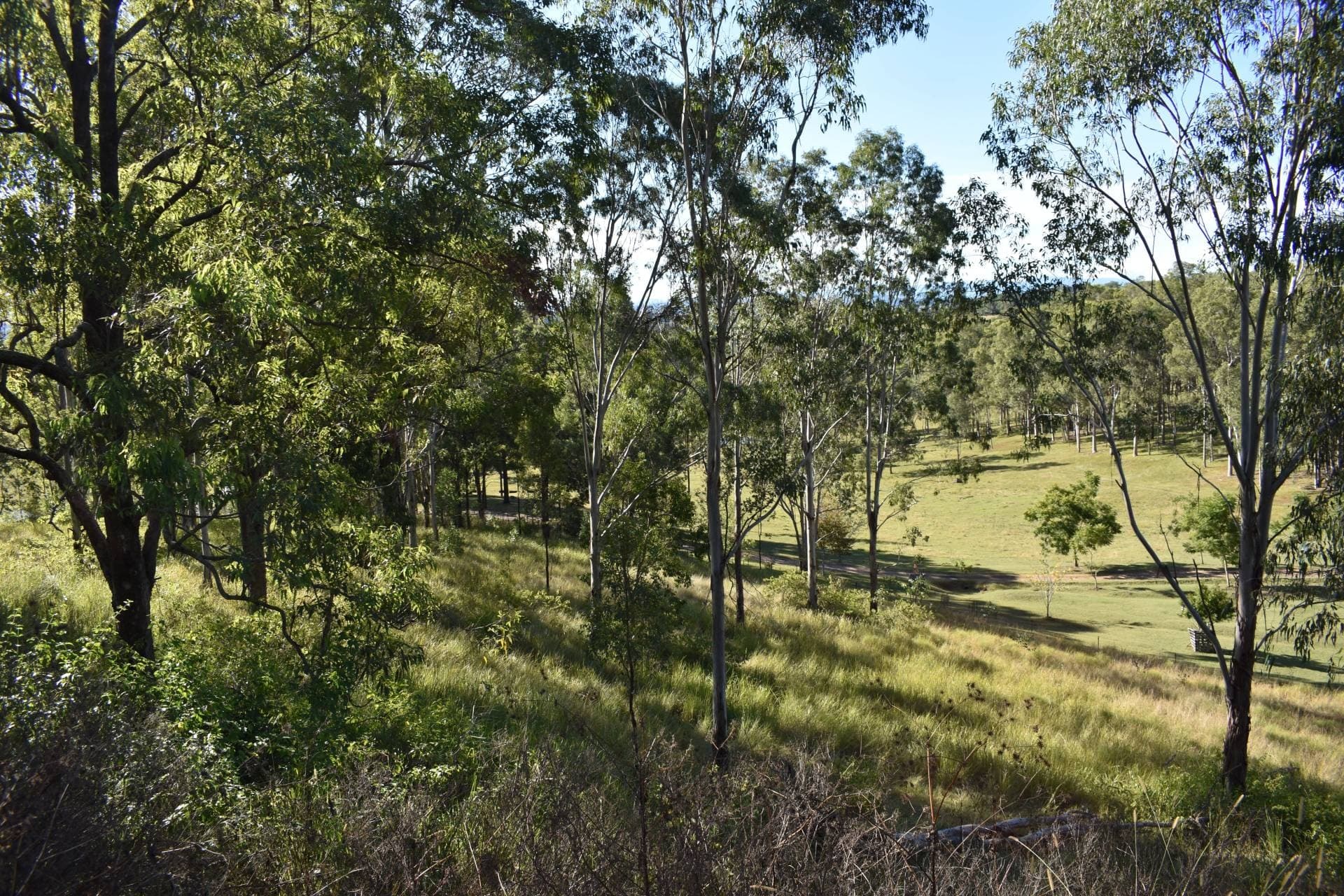 1217 Dyraaba Road, Kyogle - Thumbnail 2