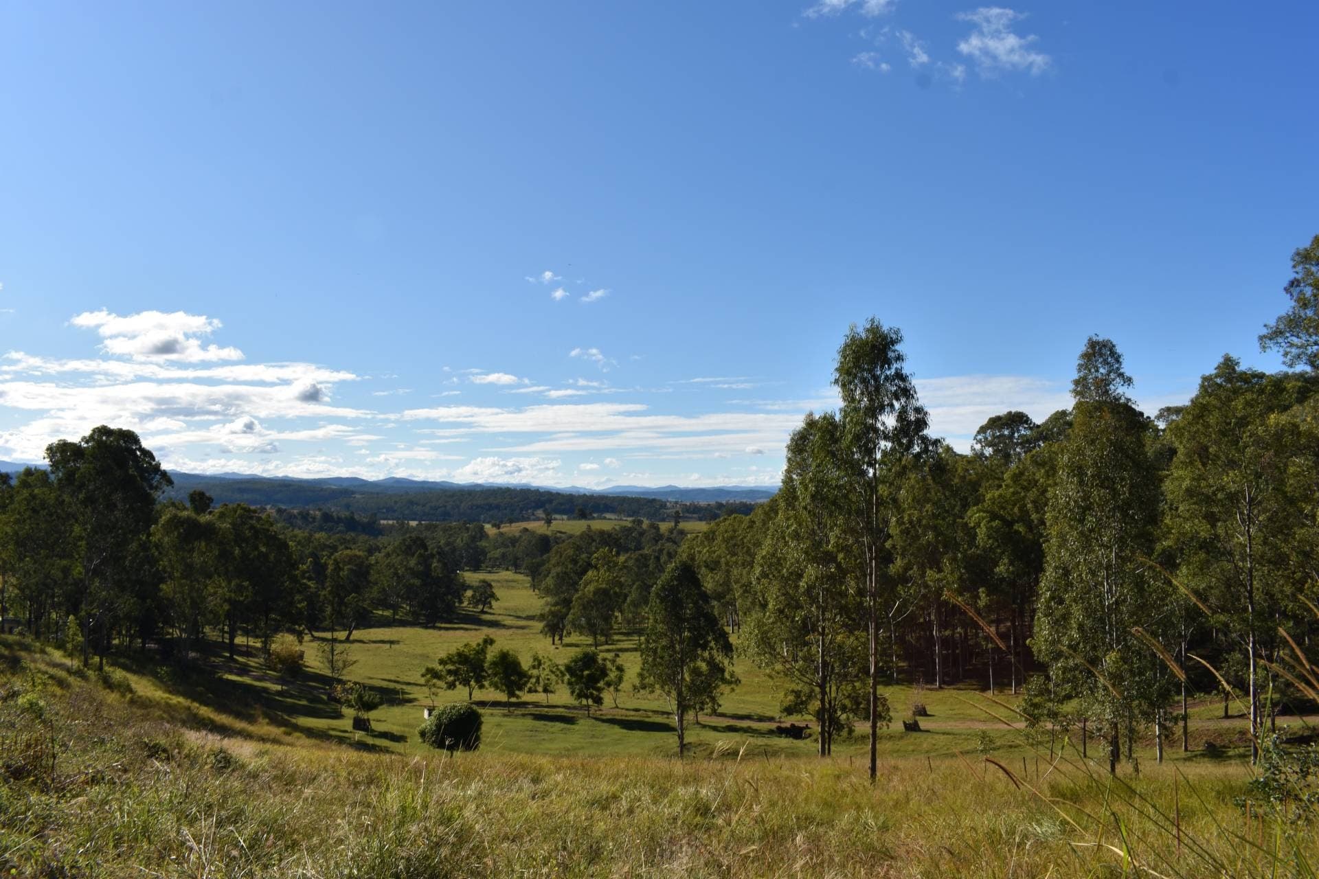 1217 Dyraaba Road, Kyogle - Thumbnail 5