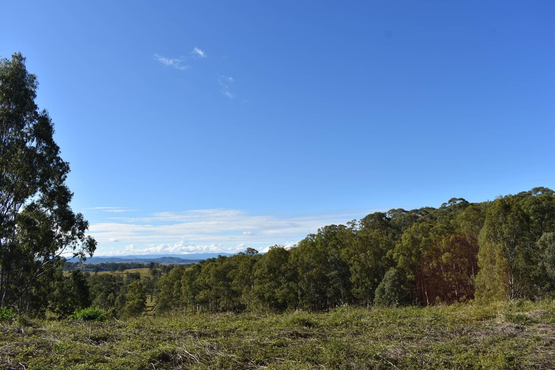 1217 Dyraaba Road, Kyogle - Thumbnail 6