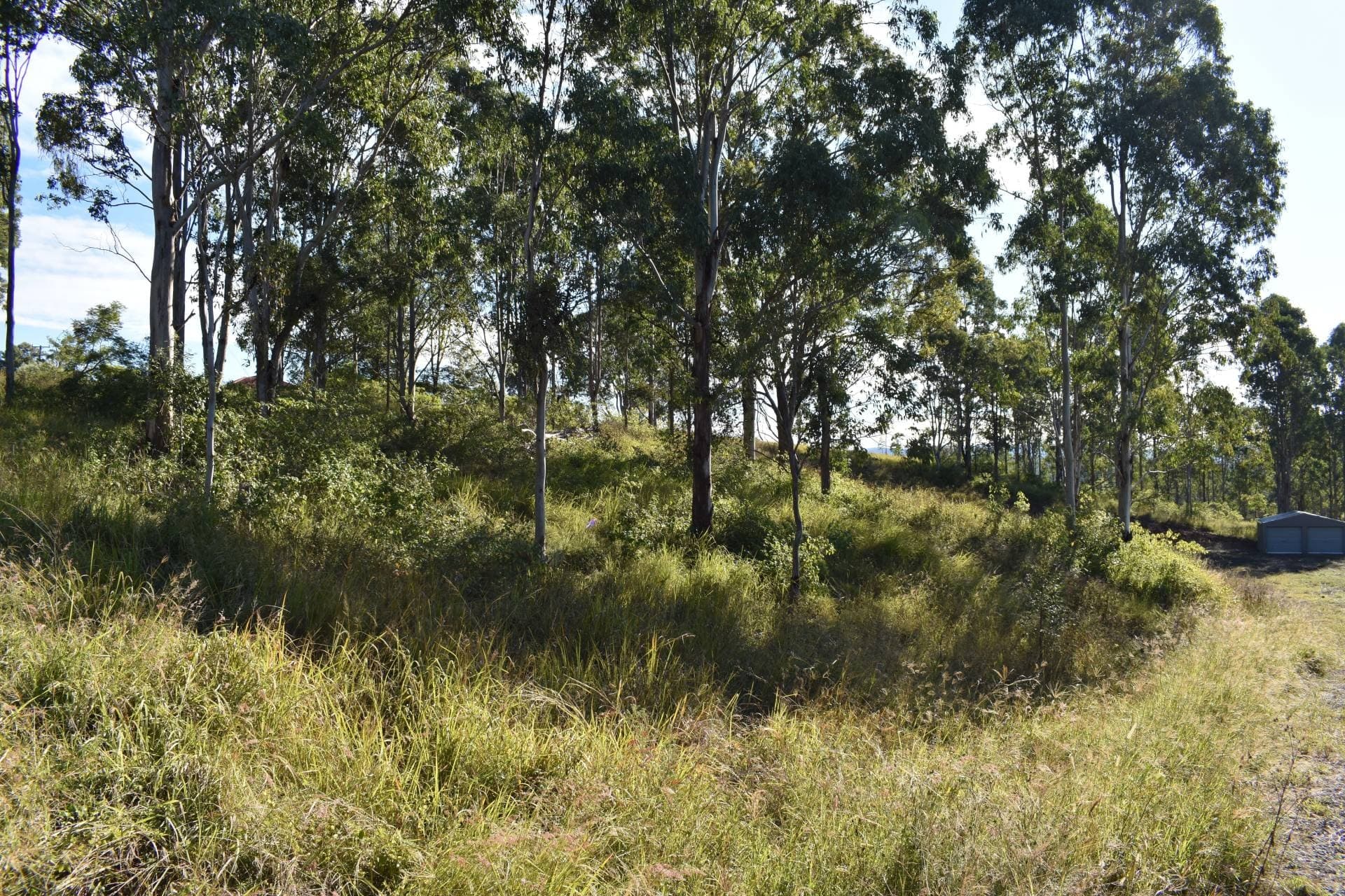 1217 Dyraaba Road, Kyogle - Thumbnail 7