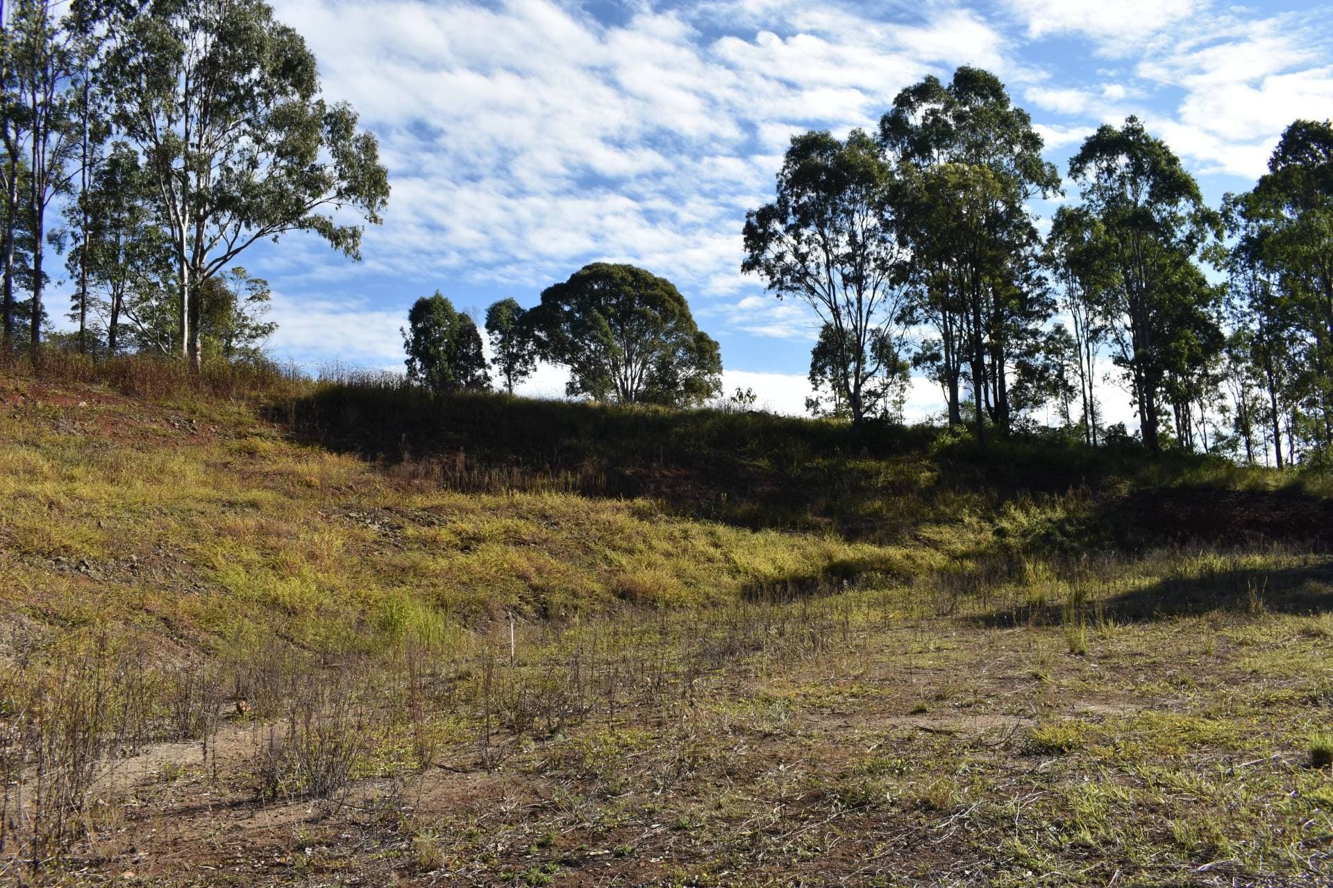 1217 Dyraaba Road, Kyogle - Thumbnail 8