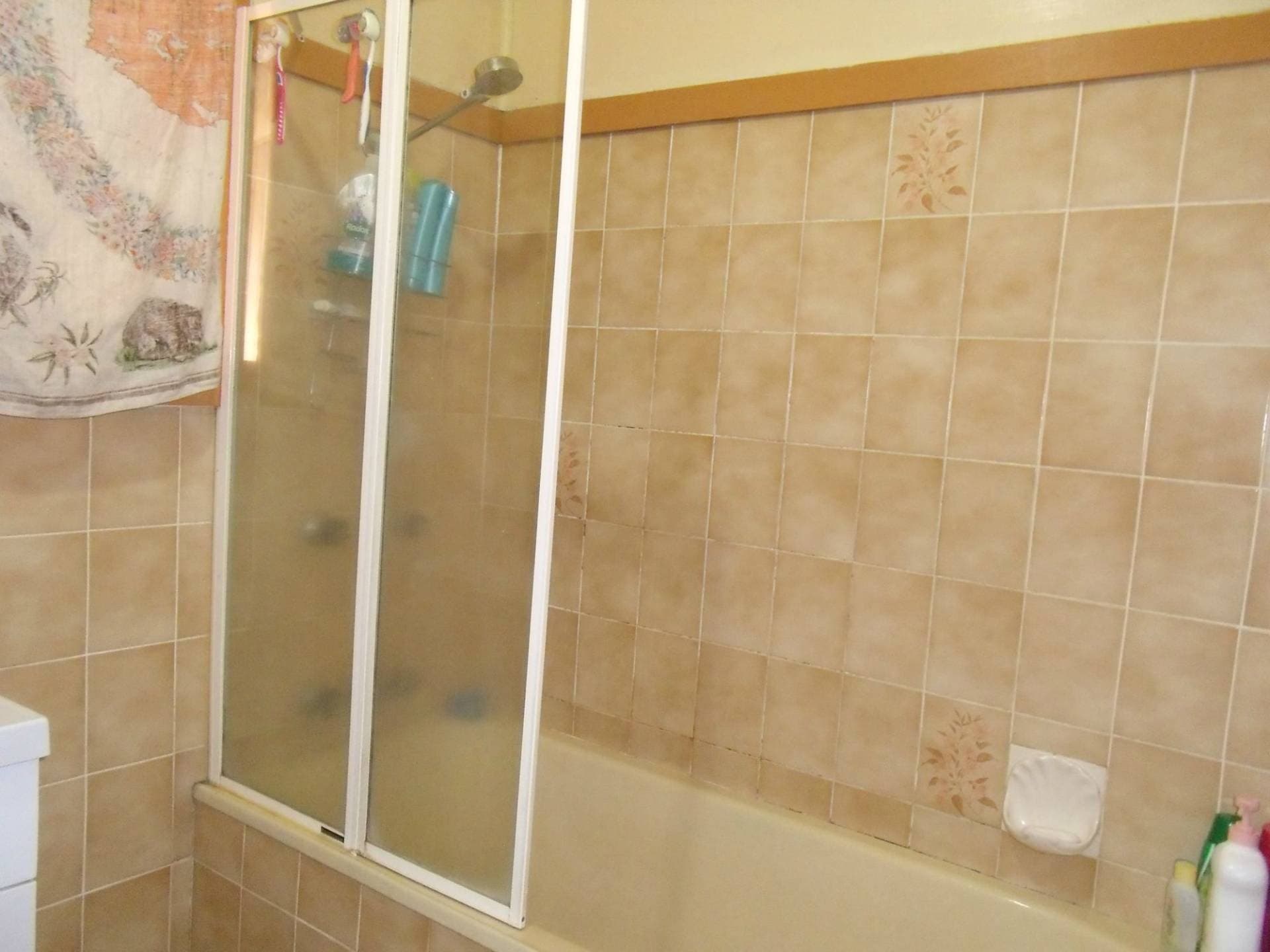 8 Curtois Street, Kyogle - Thumbnail 8