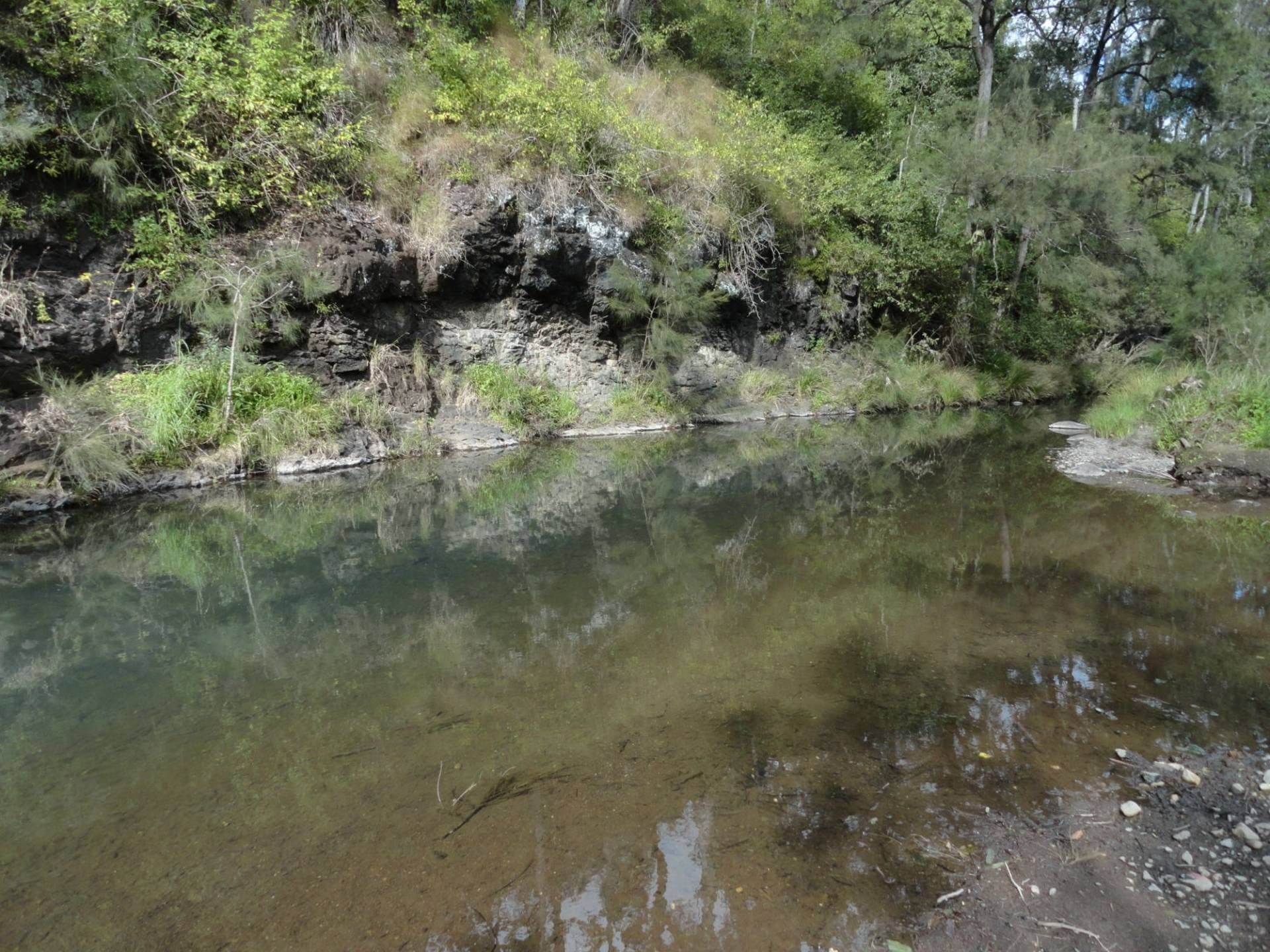 Lot 14 Gradys Creek Road, Kyogle - Thumbnail 7