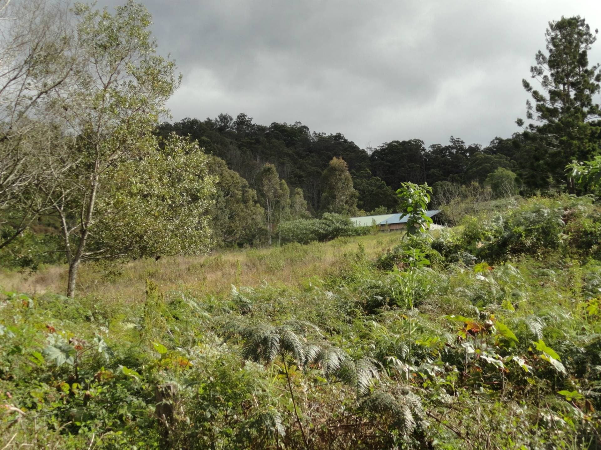 Lot 14 Gradys Creek Road, Kyogle - Thumbnail 8