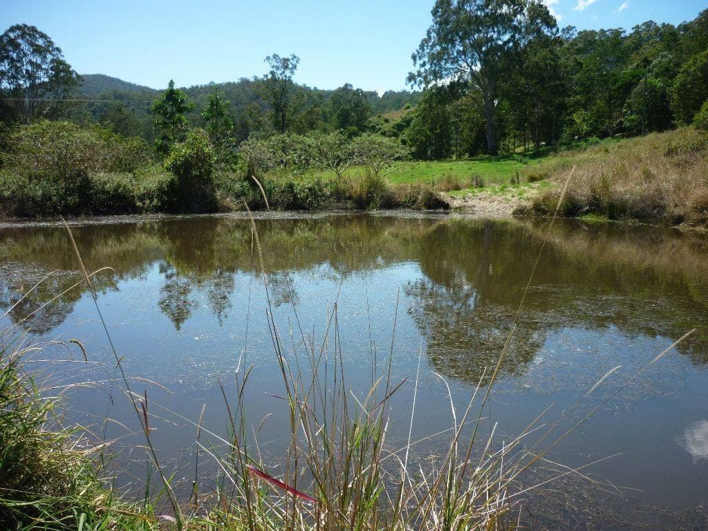 Lot 14 Boorabee Creek Road, Kyogle - Thumbnail 2
