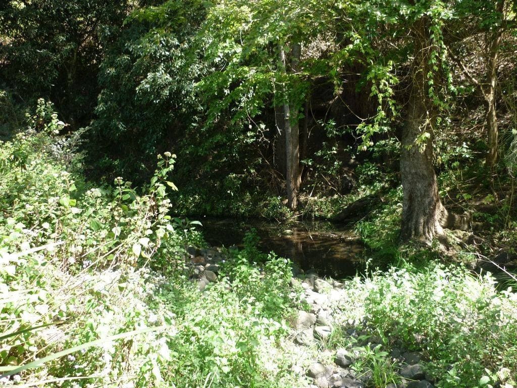 Lot 14 Boorabee Creek Road, Kyogle - Thumbnail 5