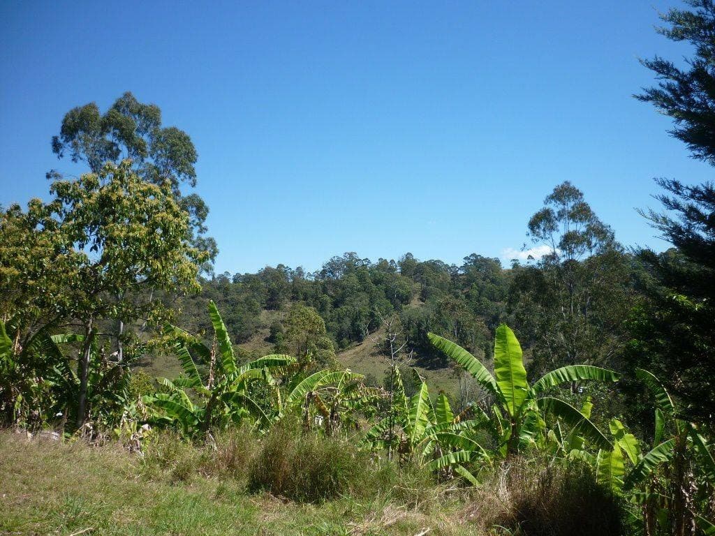 Lot 14 Boorabee Creek Road, Kyogle - Thumbnail 7