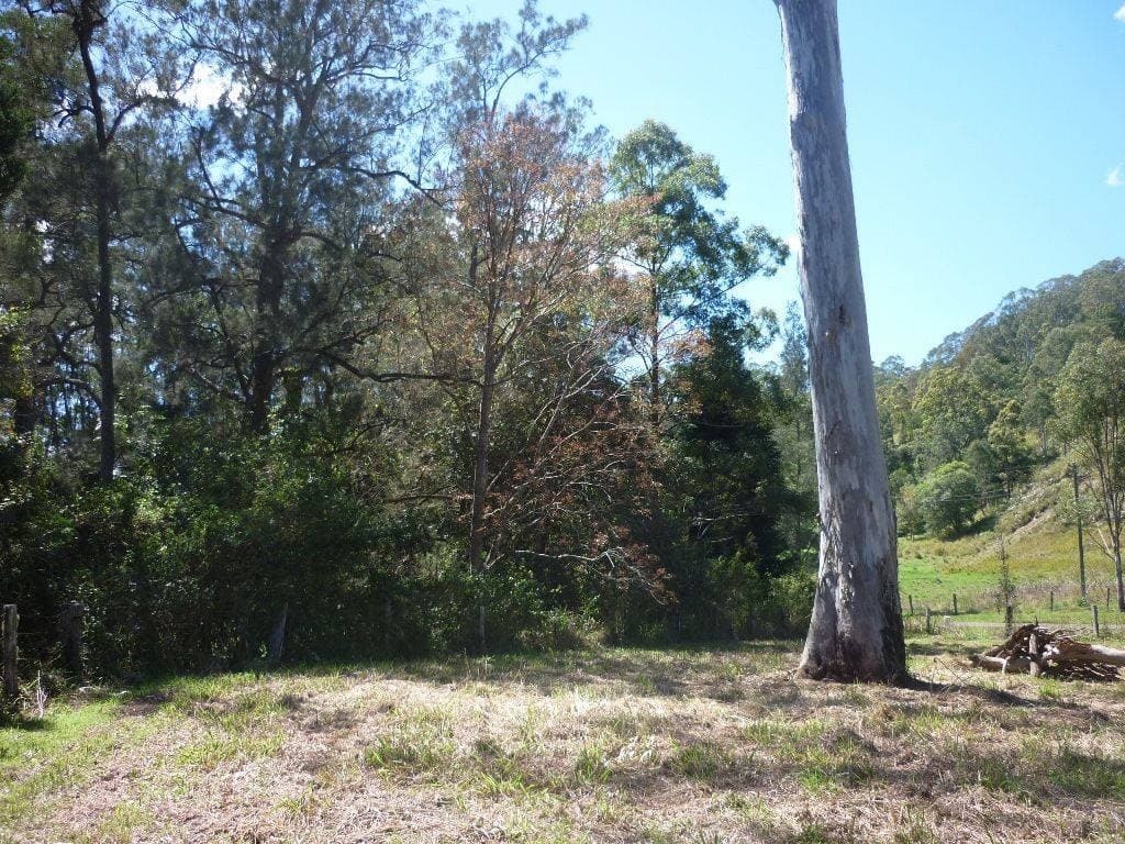 Lot 14 Boorabee Creek Road, Kyogle - Thumbnail 8