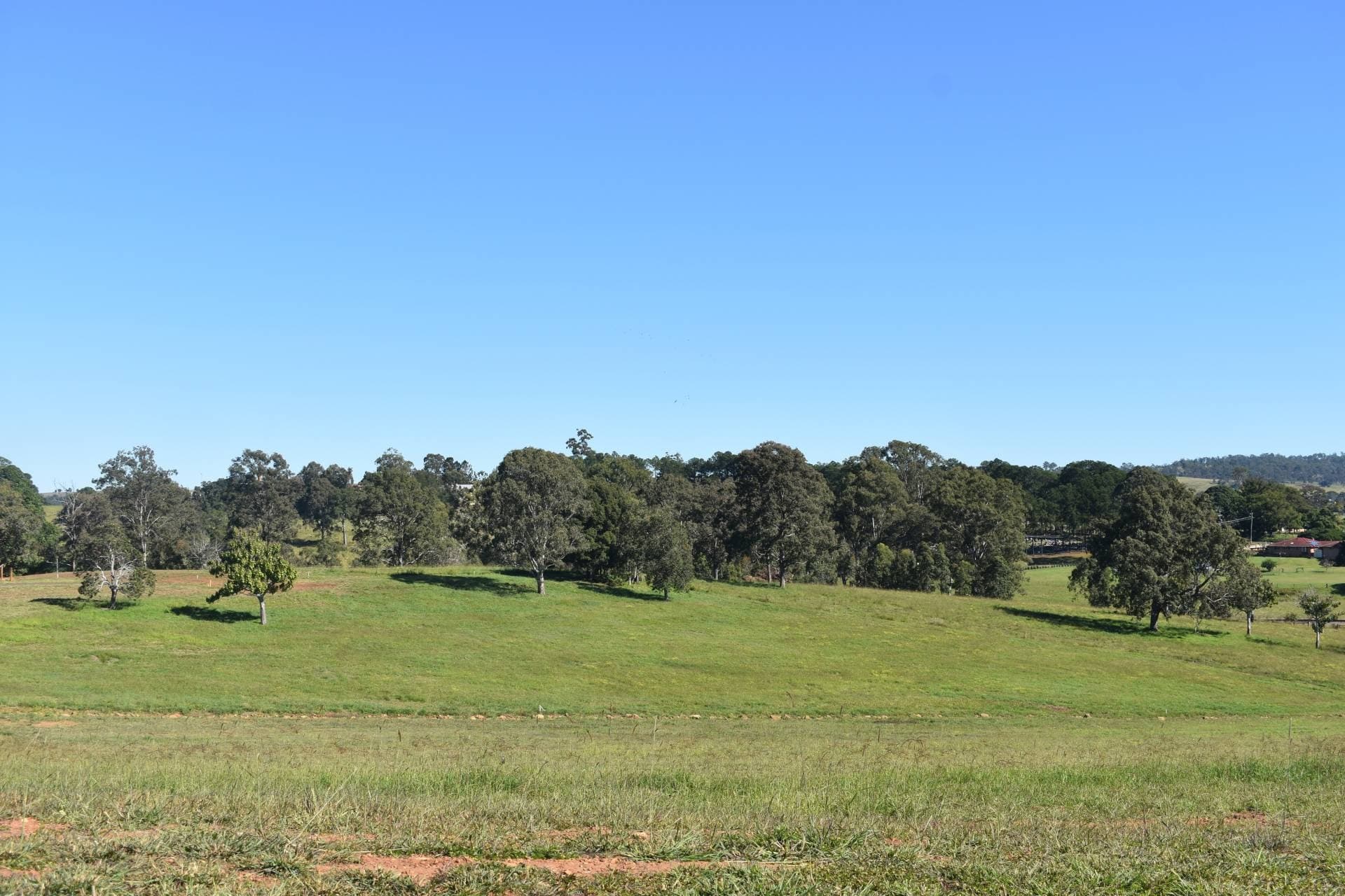 Lot 18 Ngalawa Court, Kyogle - Thumbnail 5