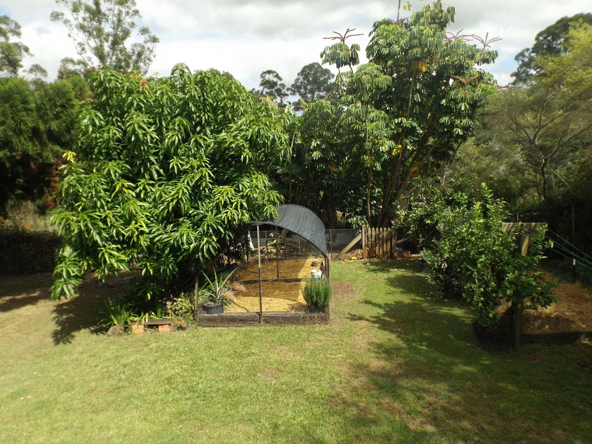 20 Chauvel St, Kyogle - Thumbnail 4