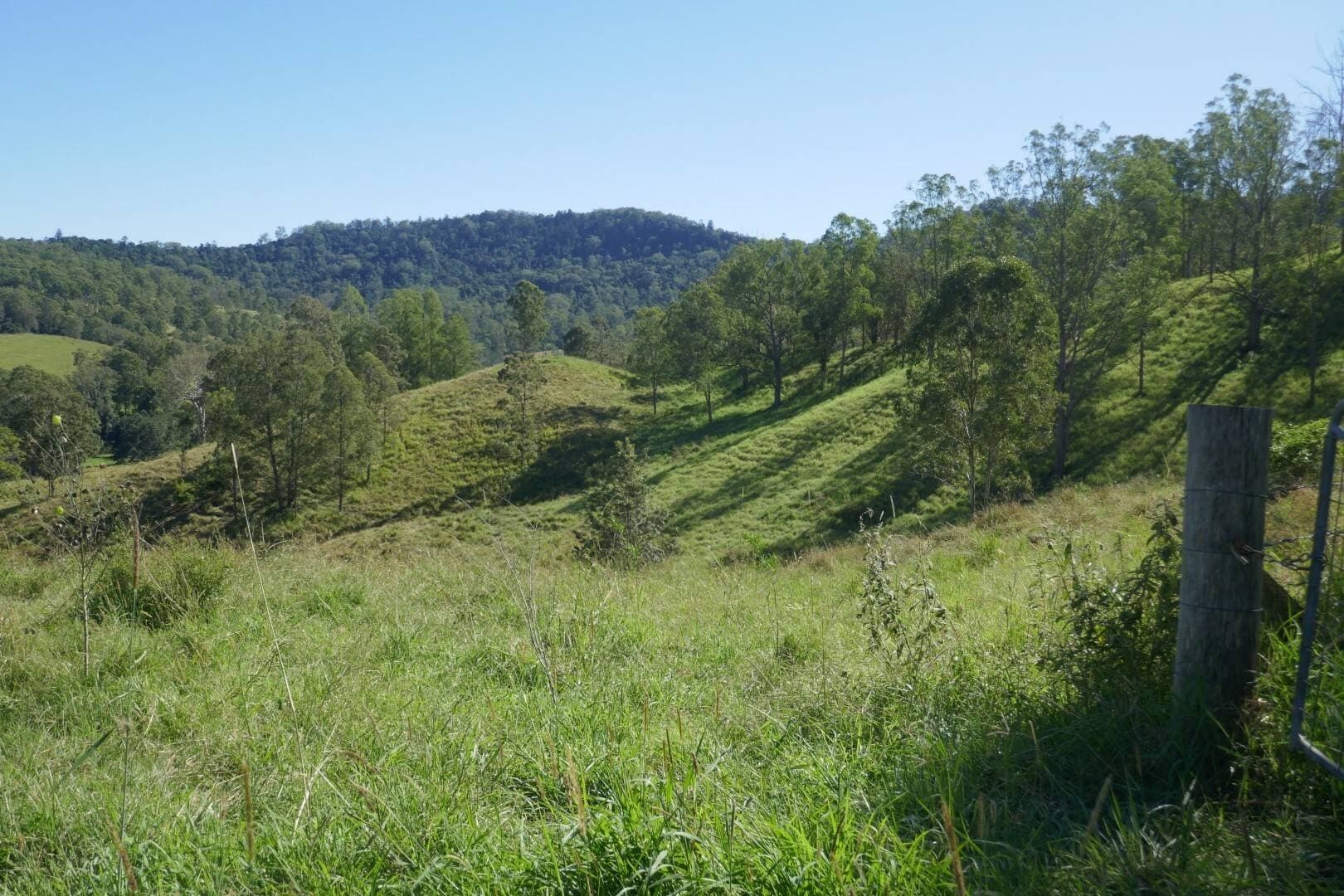 Lot 12 Ghinni Ghi Road, Kyogle - Thumbnail 2