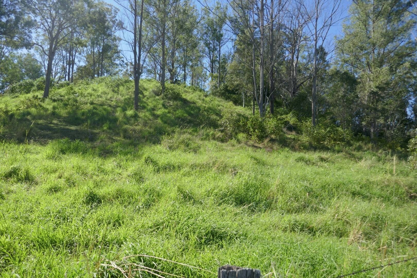 Lot 12 Ghinni Ghi Road, Kyogle - Thumbnail 3