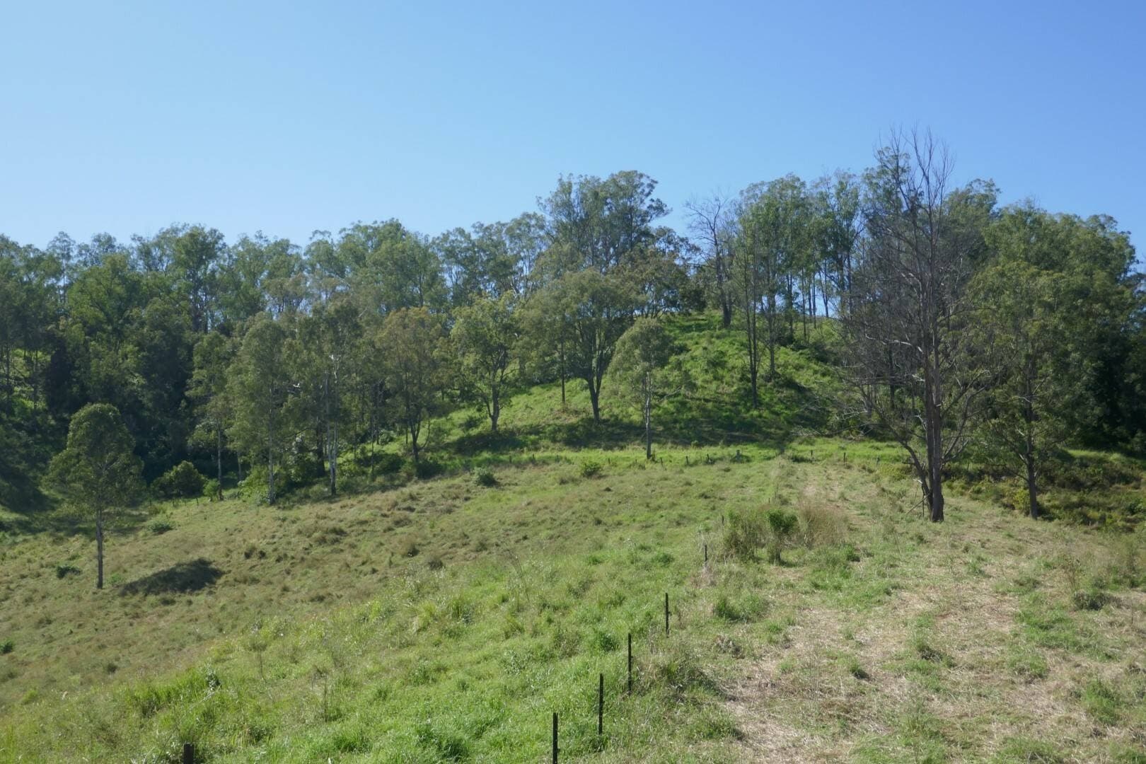 Lot 12 Ghinni Ghi Road, Kyogle - Thumbnail 6