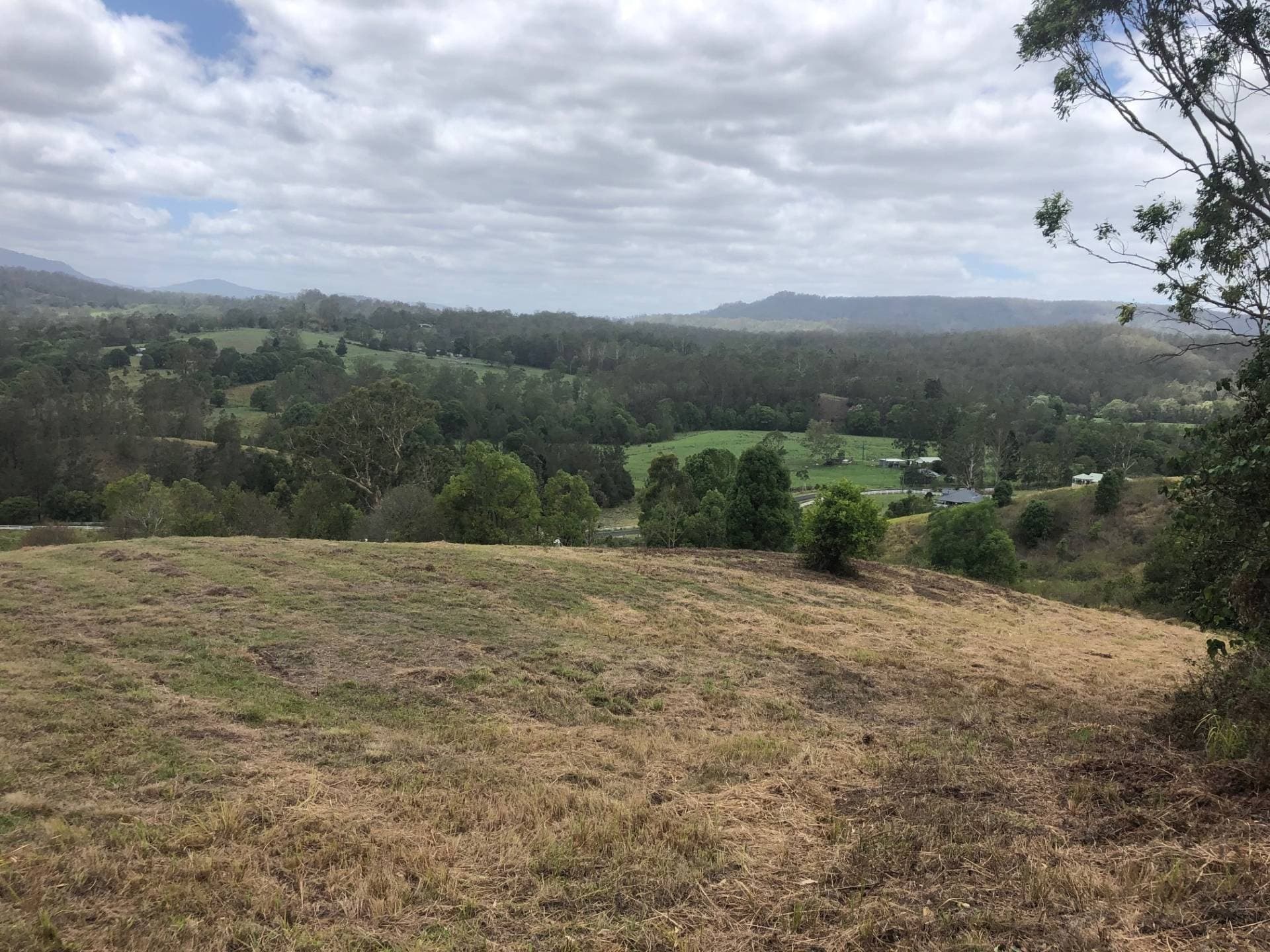 21 Bluegum Place, Cawongla, Kyogle - Thumbnail 3