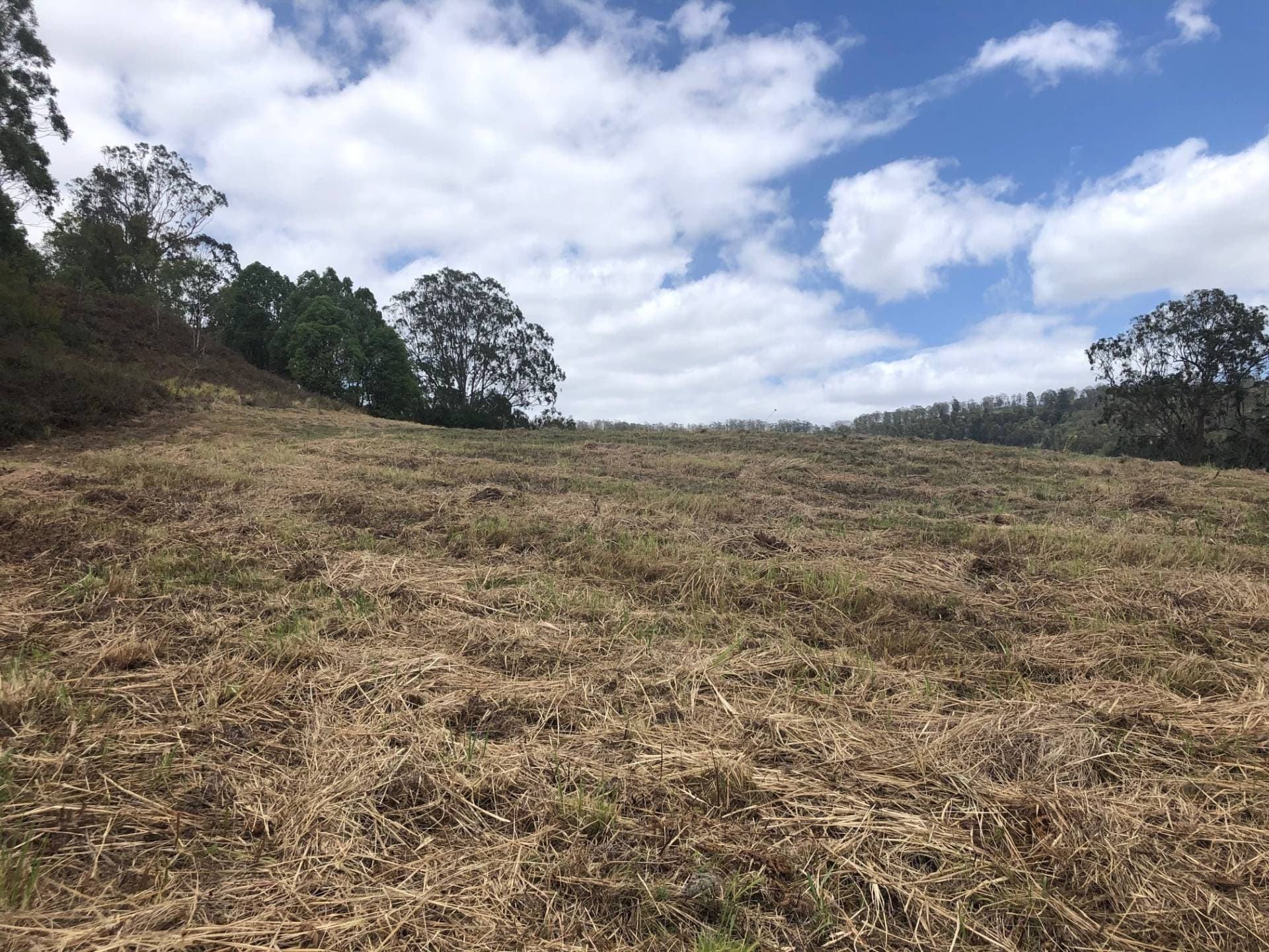 21 Bluegum Place, Cawongla, Kyogle - Thumbnail 4