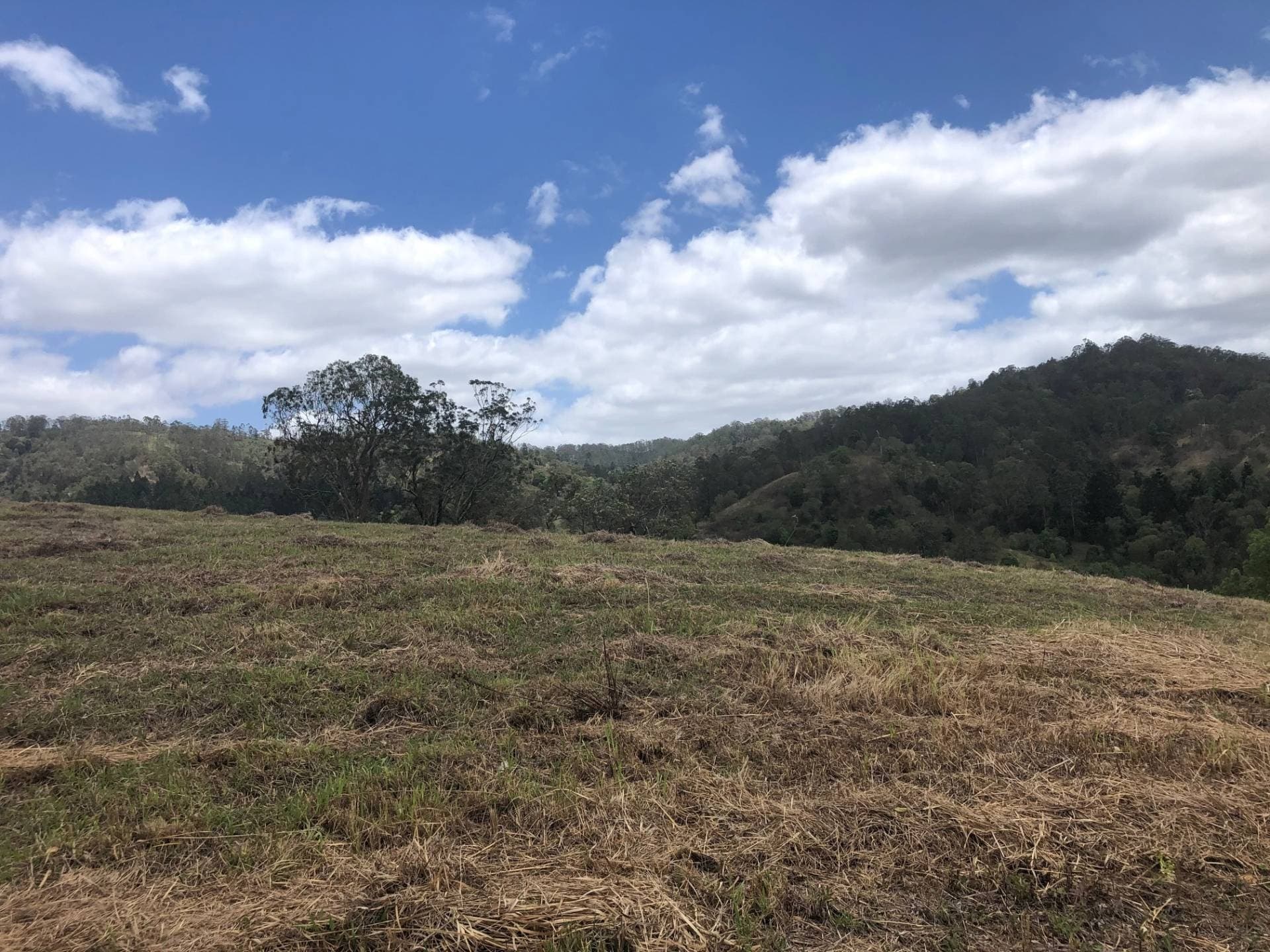 21 Bluegum Place, Cawongla, Kyogle - Thumbnail 5