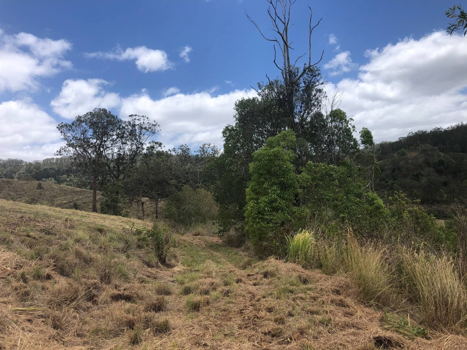 21 Bluegum Place, Cawongla, Kyogle - Thumbnail 7