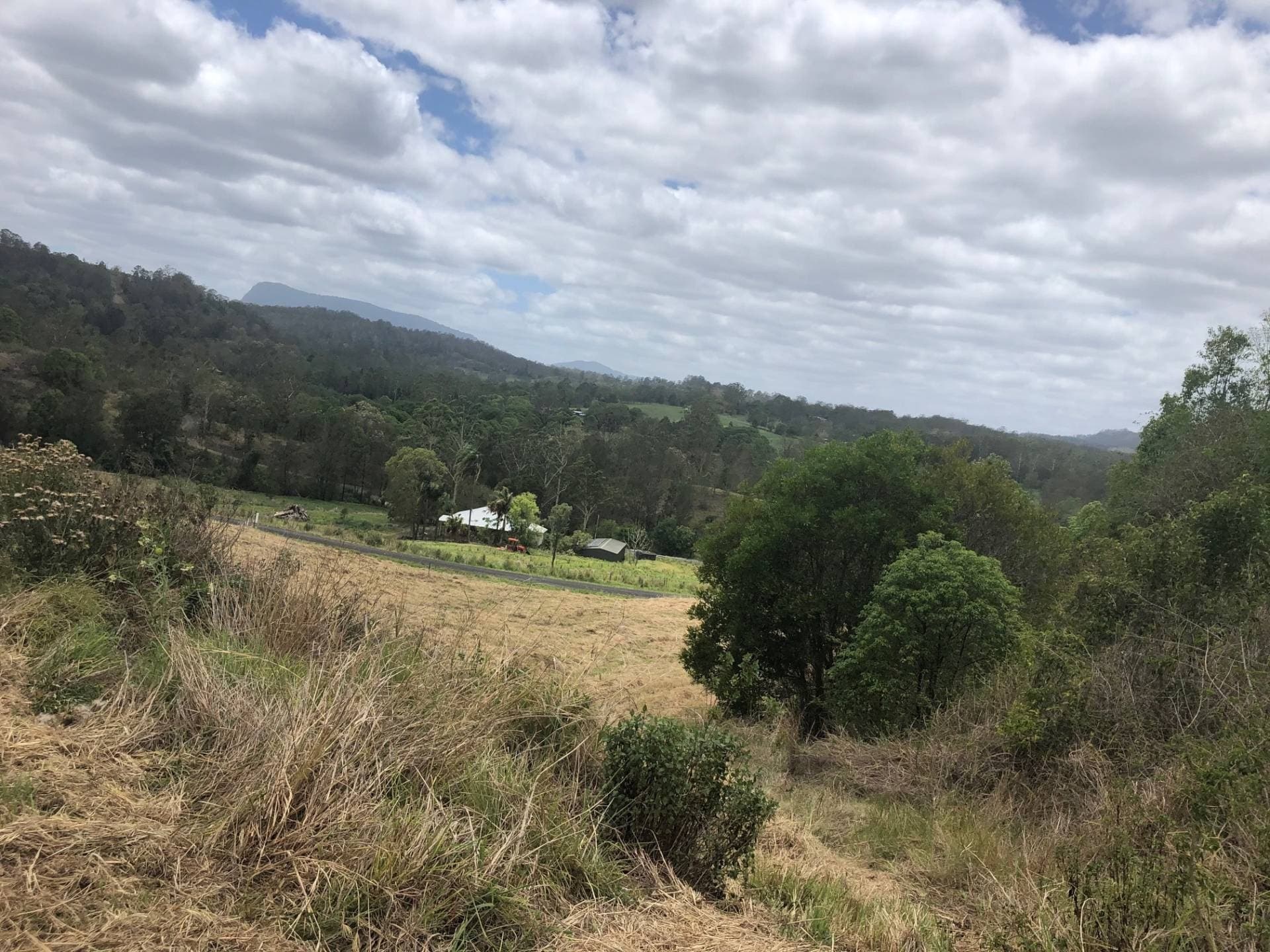 21 Bluegum Place, Cawongla, Kyogle - Thumbnail 8