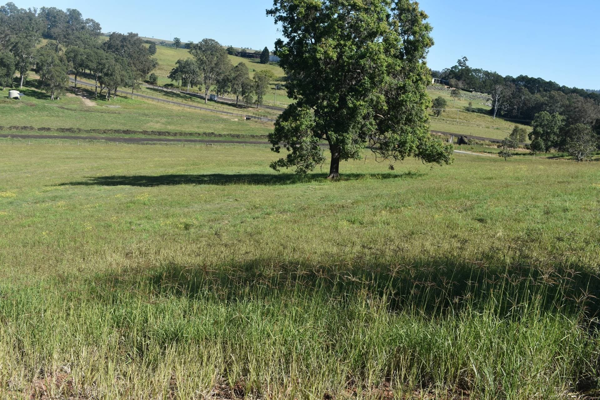 Lot 4 Wandii Court, Kyogle - Thumbnail 2