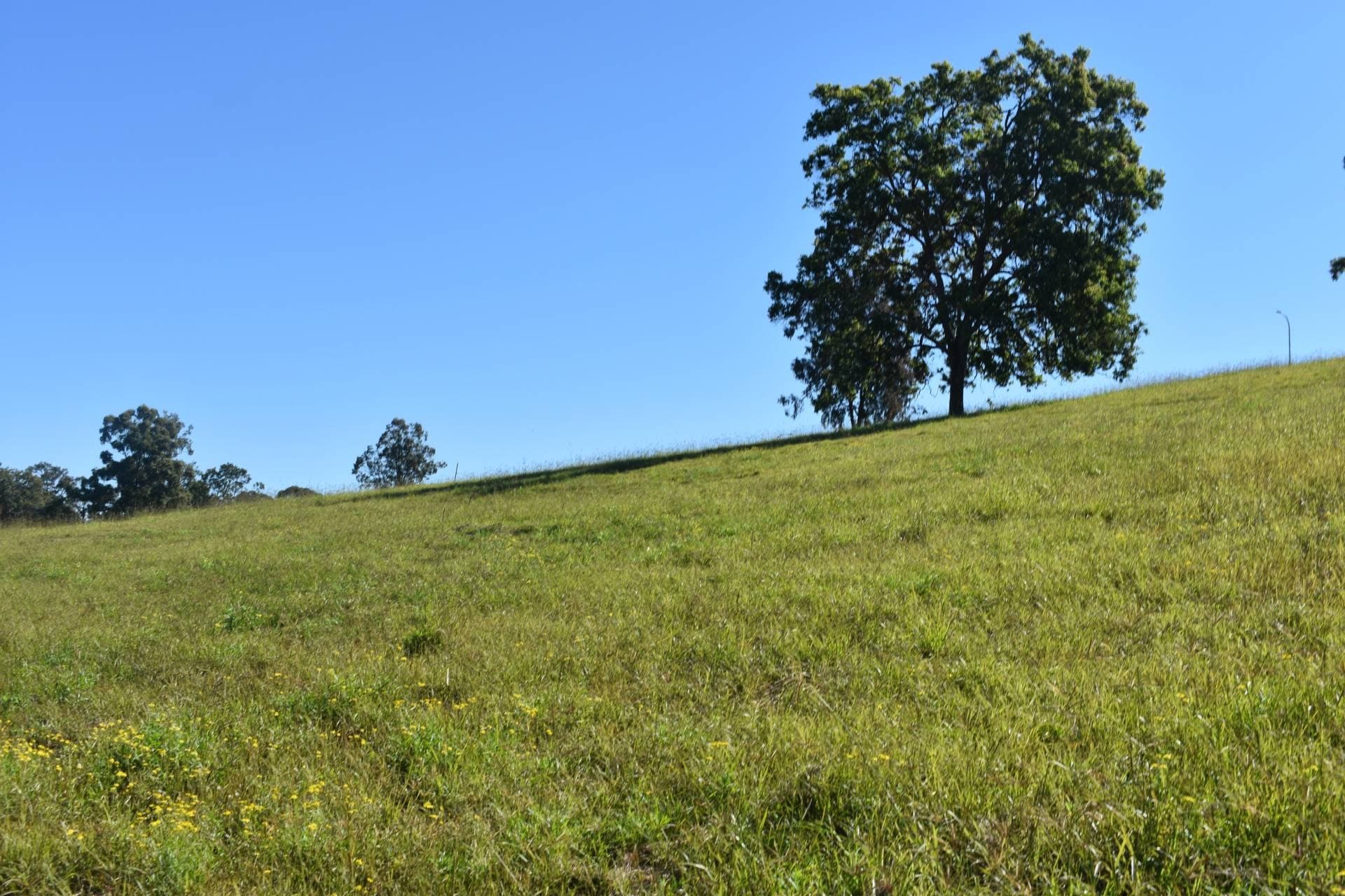 Lot 4 Wandii Court, Kyogle - Thumbnail 3