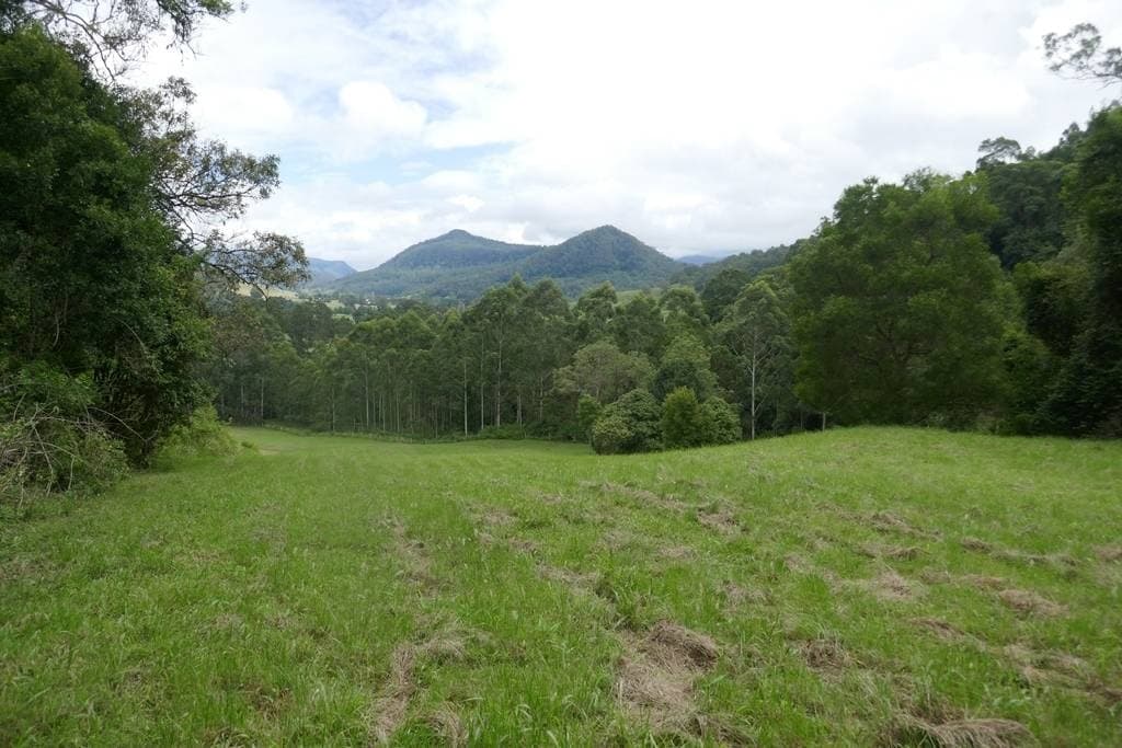 117 Lavelles Road, Kyogle - Thumbnail 3