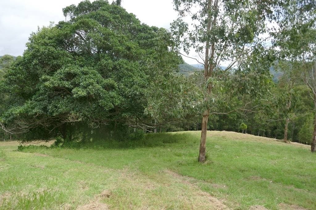 117 Lavelles Road, Kyogle - Thumbnail 4