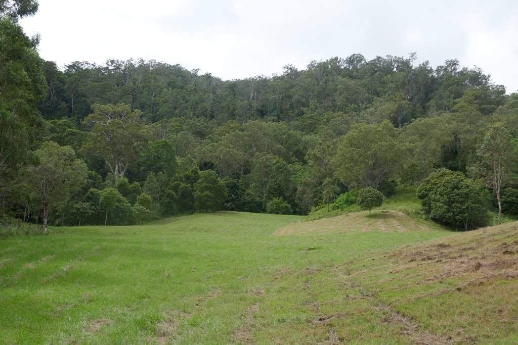 117 Lavelles Road, Kyogle - Thumbnail 5
