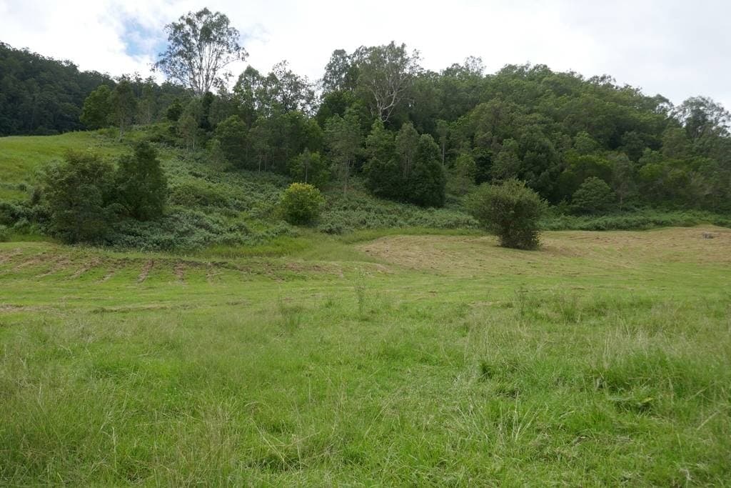 117 Lavelles Road, Kyogle - Thumbnail 6