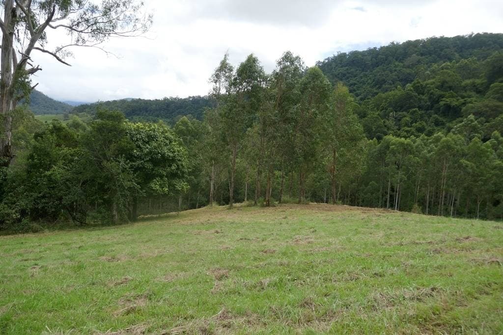 117 Lavelles Road, Kyogle - Thumbnail 7