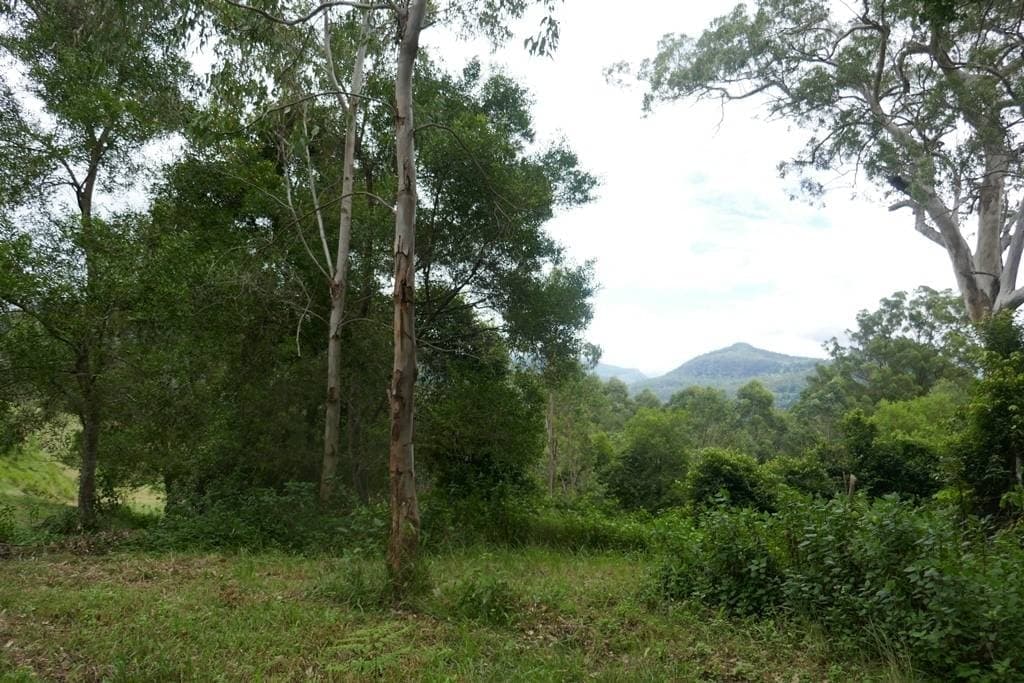 117 Lavelles Road, Kyogle - Thumbnail 8