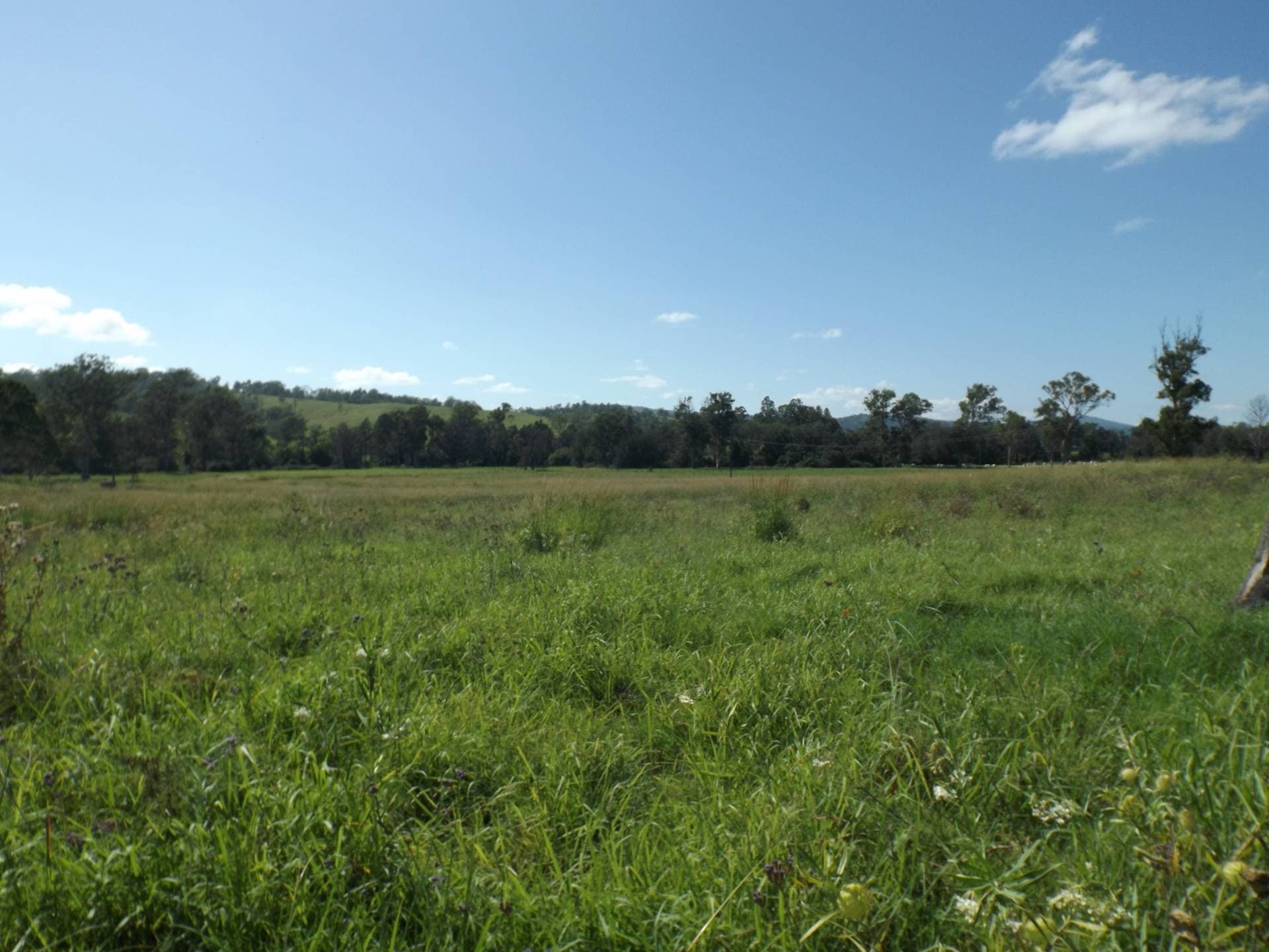 1185 Collins Creek Rd, Kyogle - Thumbnail 2