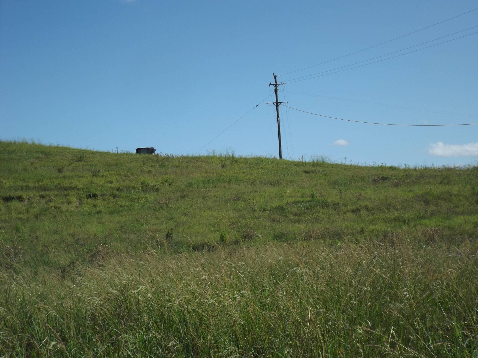 1185 Collins Creek Rd, Kyogle - Thumbnail 5