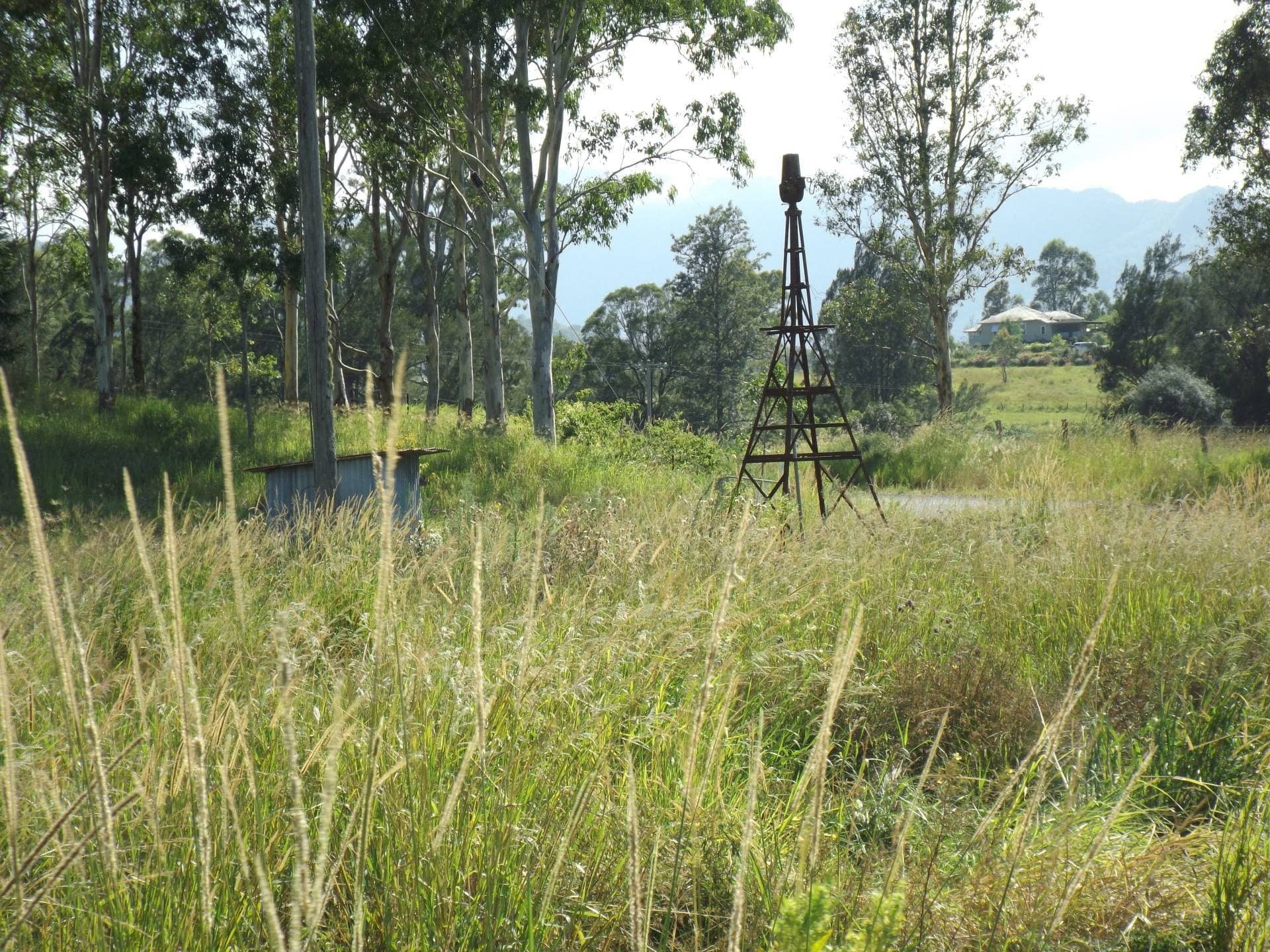 1185 Collins Creek Rd, Kyogle - Thumbnail 7