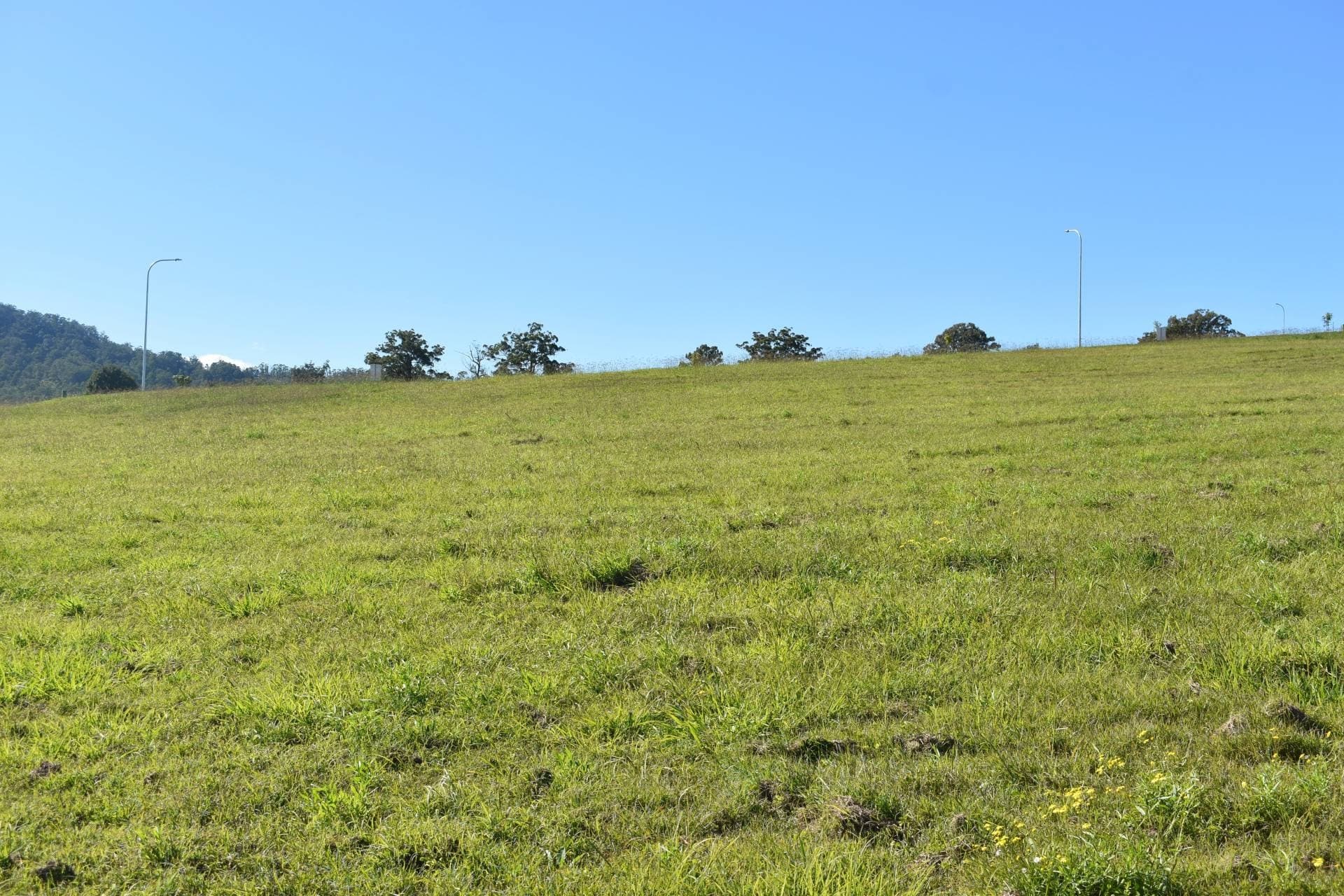 Lot 16 Ngalawa Court, Kyogle - Image 1
