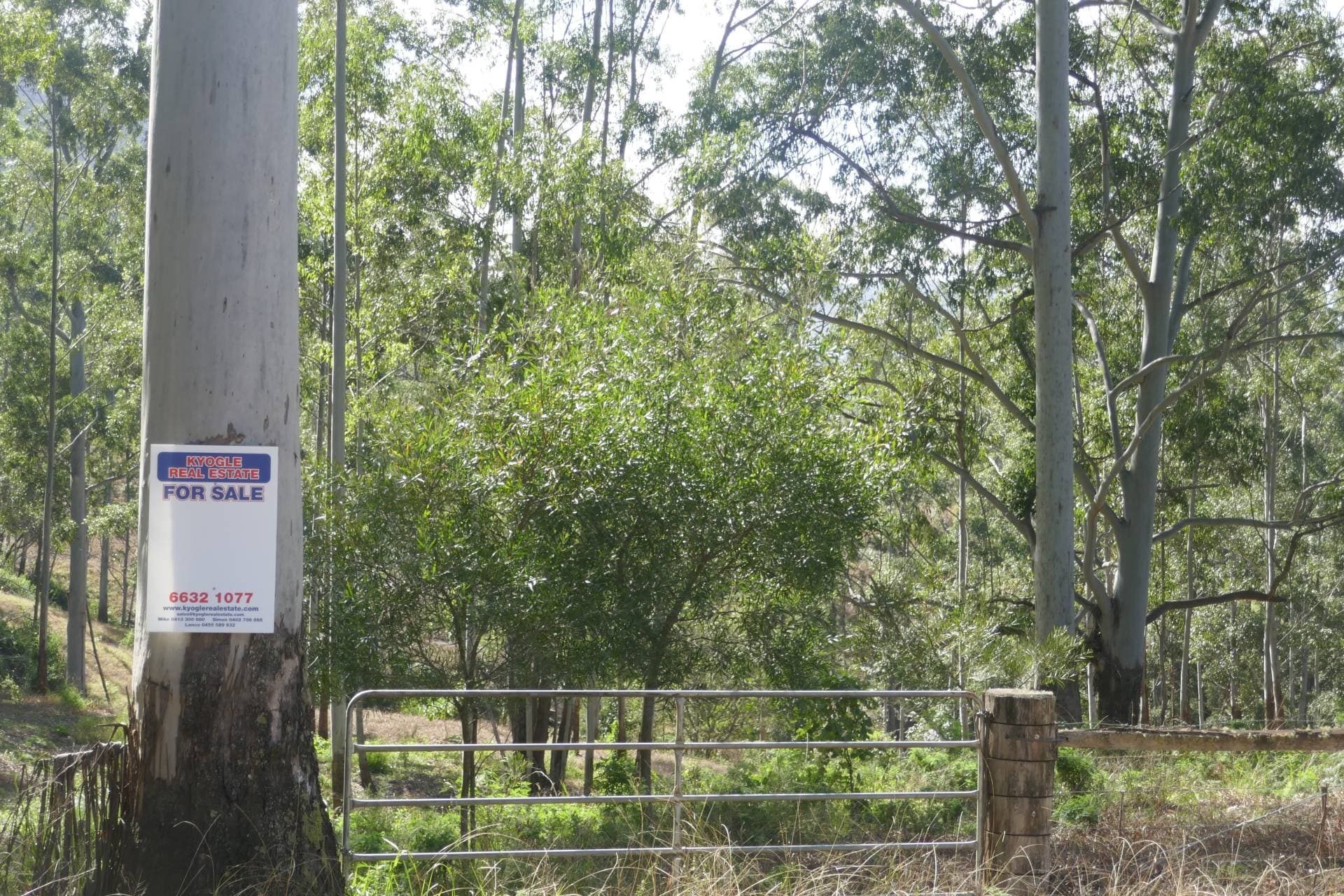 136 Forest Road, Lynchs Cr, Kyogle - Image 1