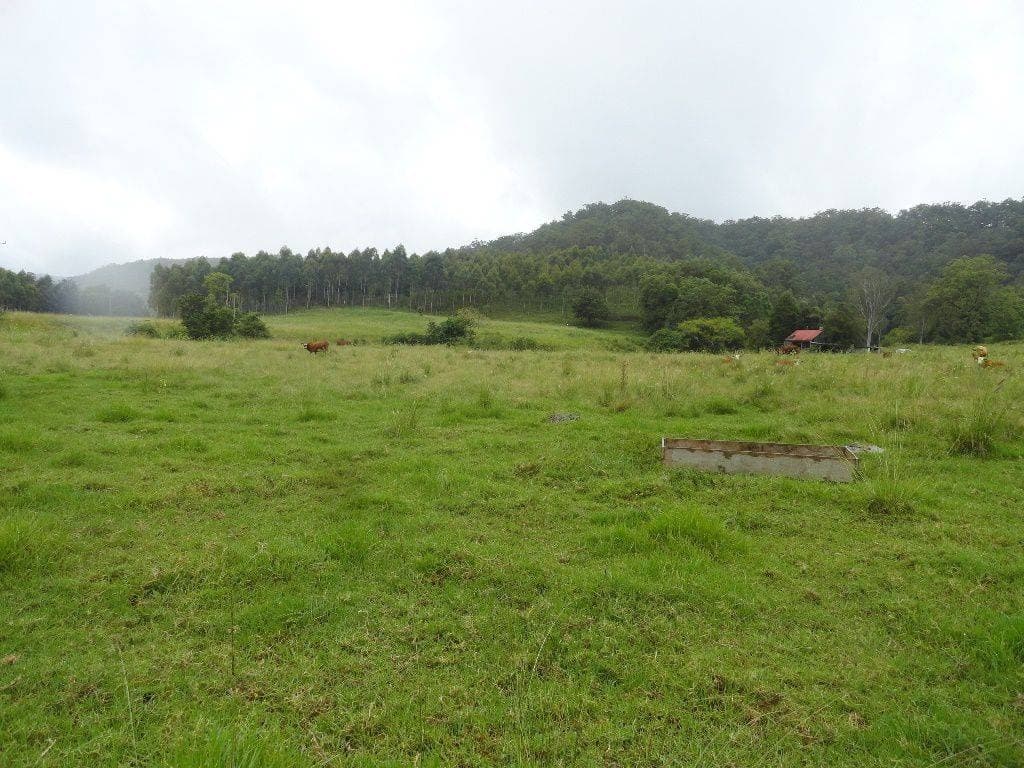 250 WARRAZAMBIL CREEK ROAD St, Kyogle - Image 1