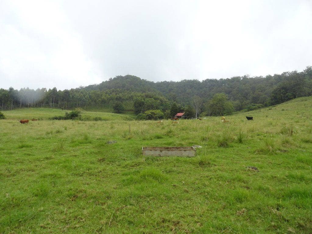 250 WARRAZAMBIL CREEK ROAD St, Kyogle - Thumbnail 3