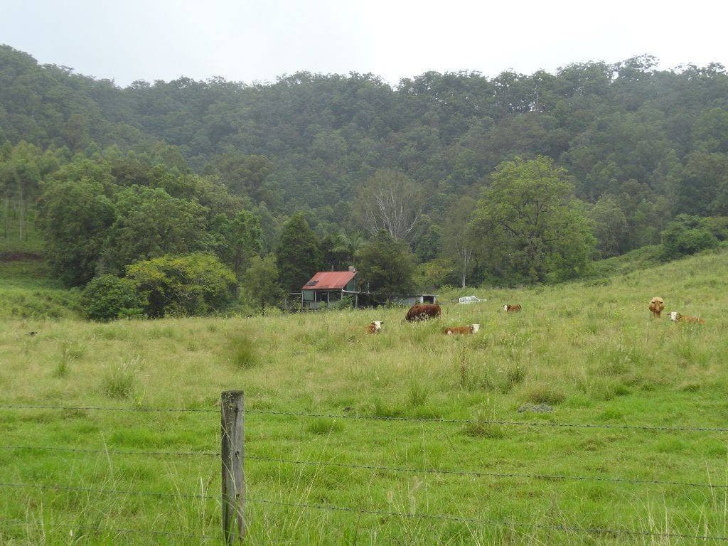 250 WARRAZAMBIL CREEK ROAD St, Kyogle - Thumbnail 4